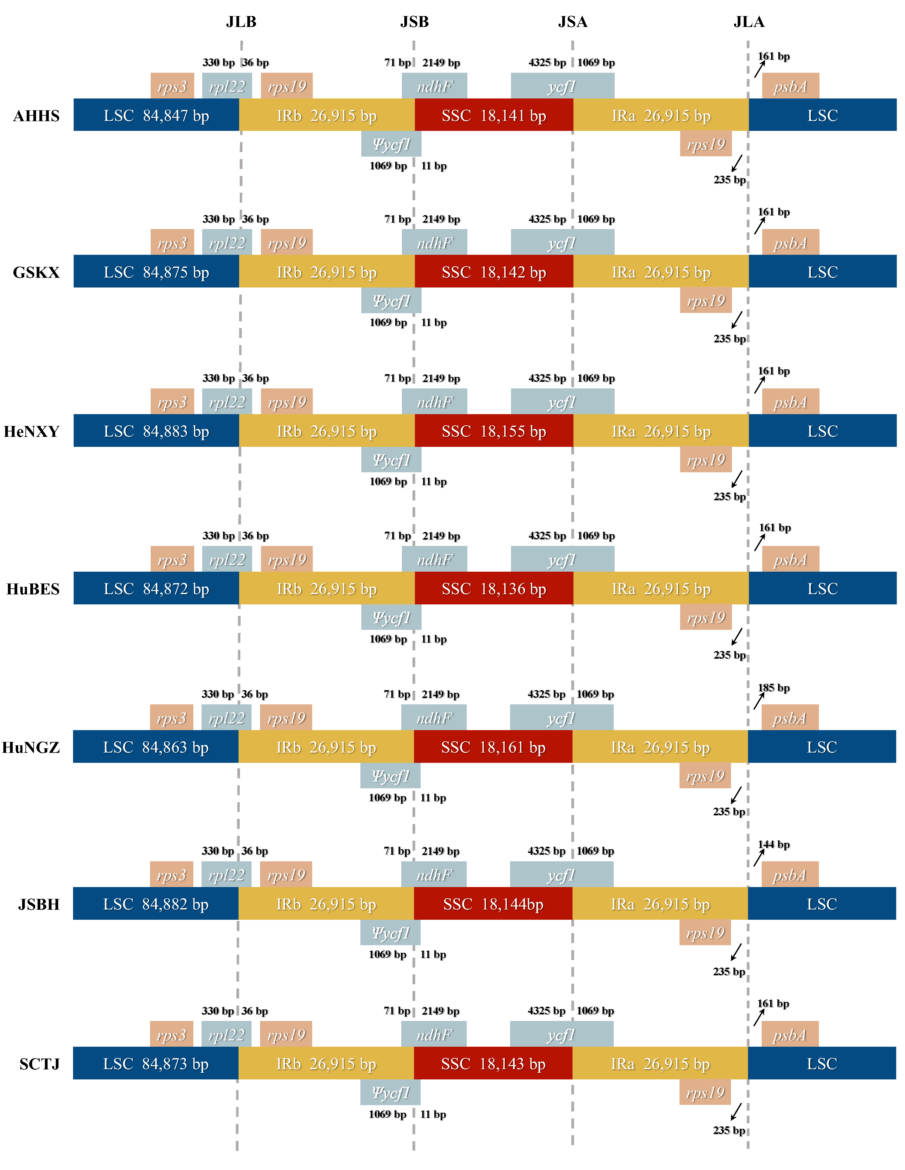 Genes 16 00723 g003