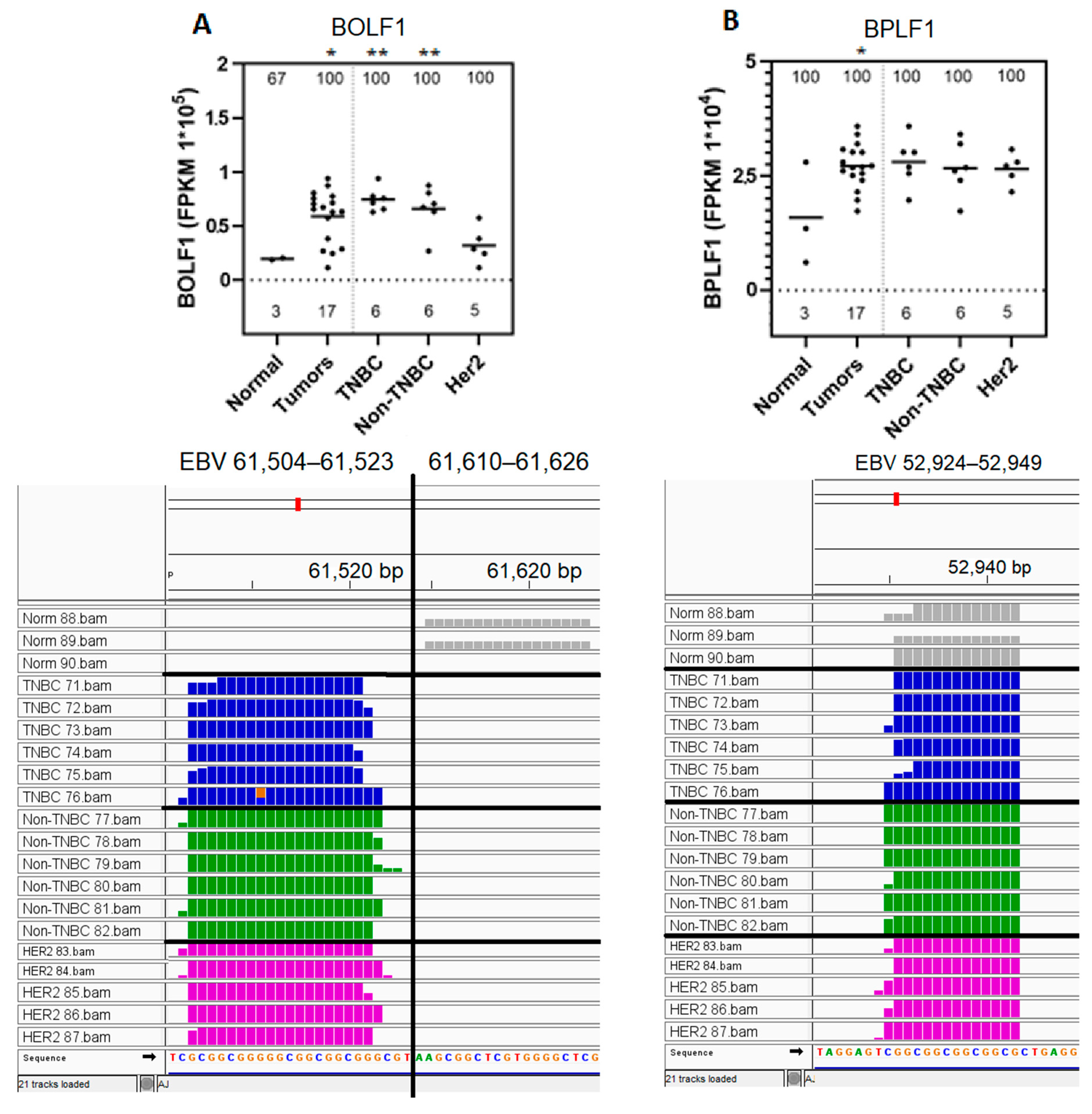Genes 16 00756 g003 Genes 16 00756 g003