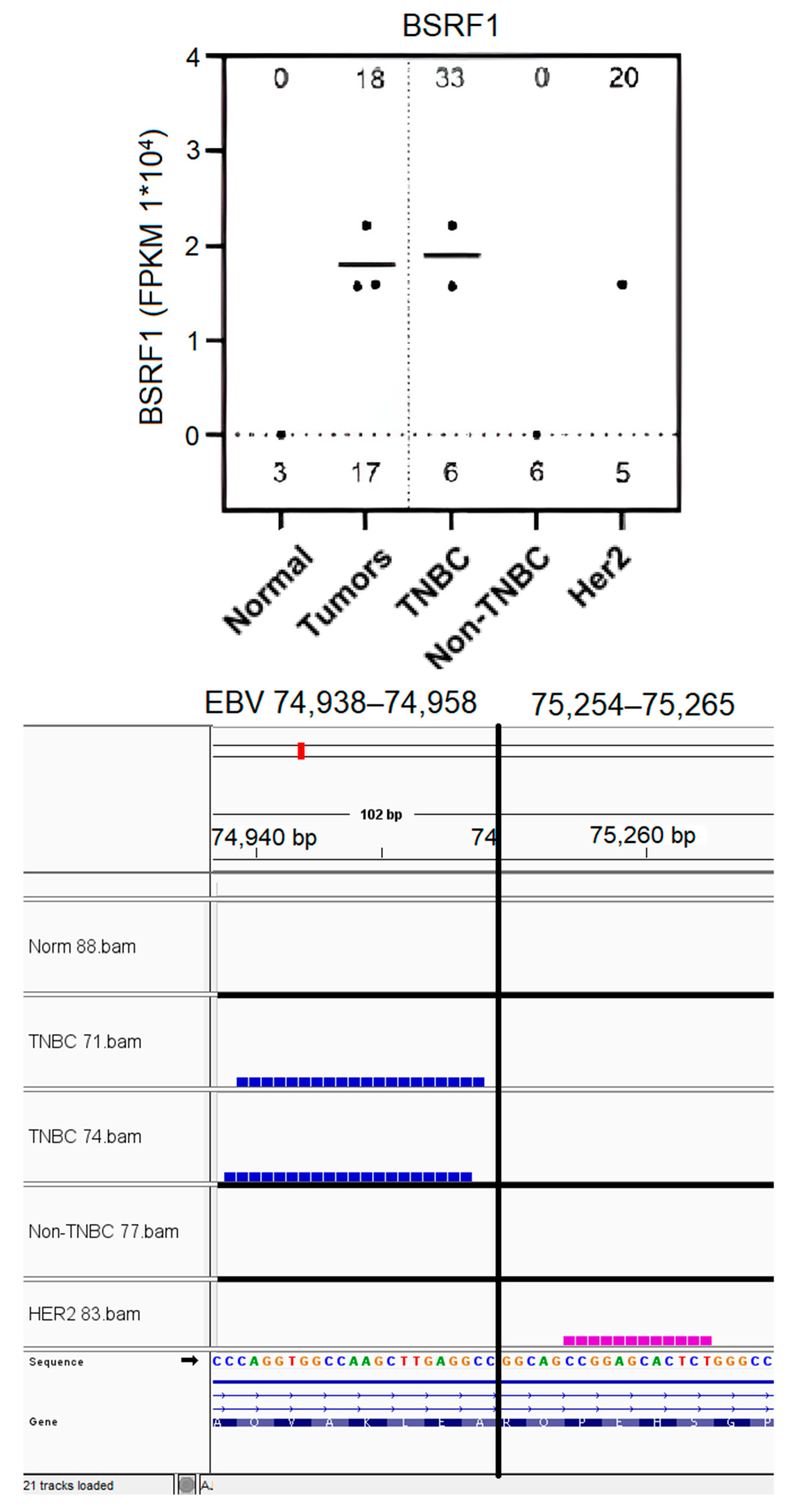 Genes 16 00756 g006 Genes 16 00756 g006