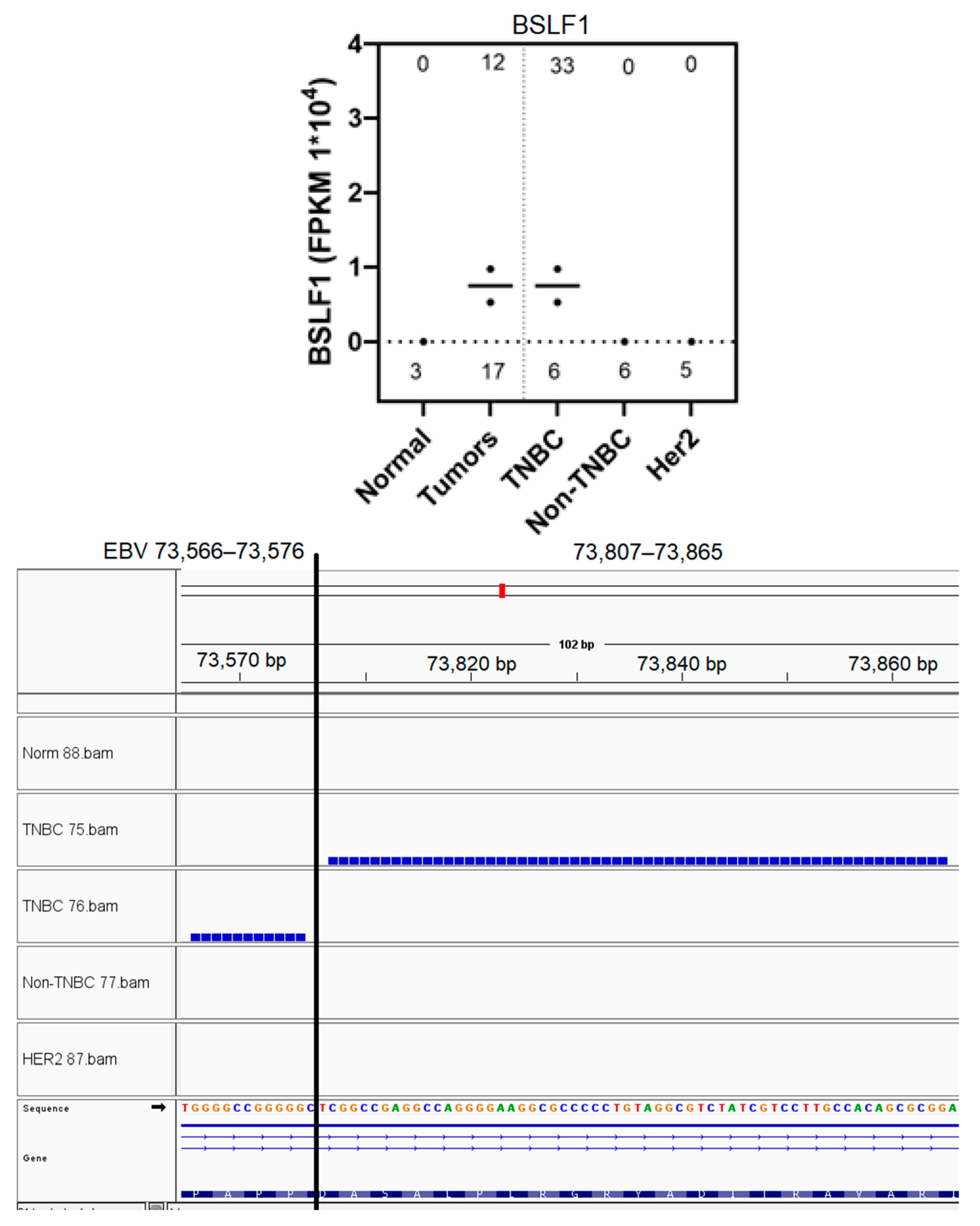 Genes 16 00756 g007 Genes 16 00756 g007