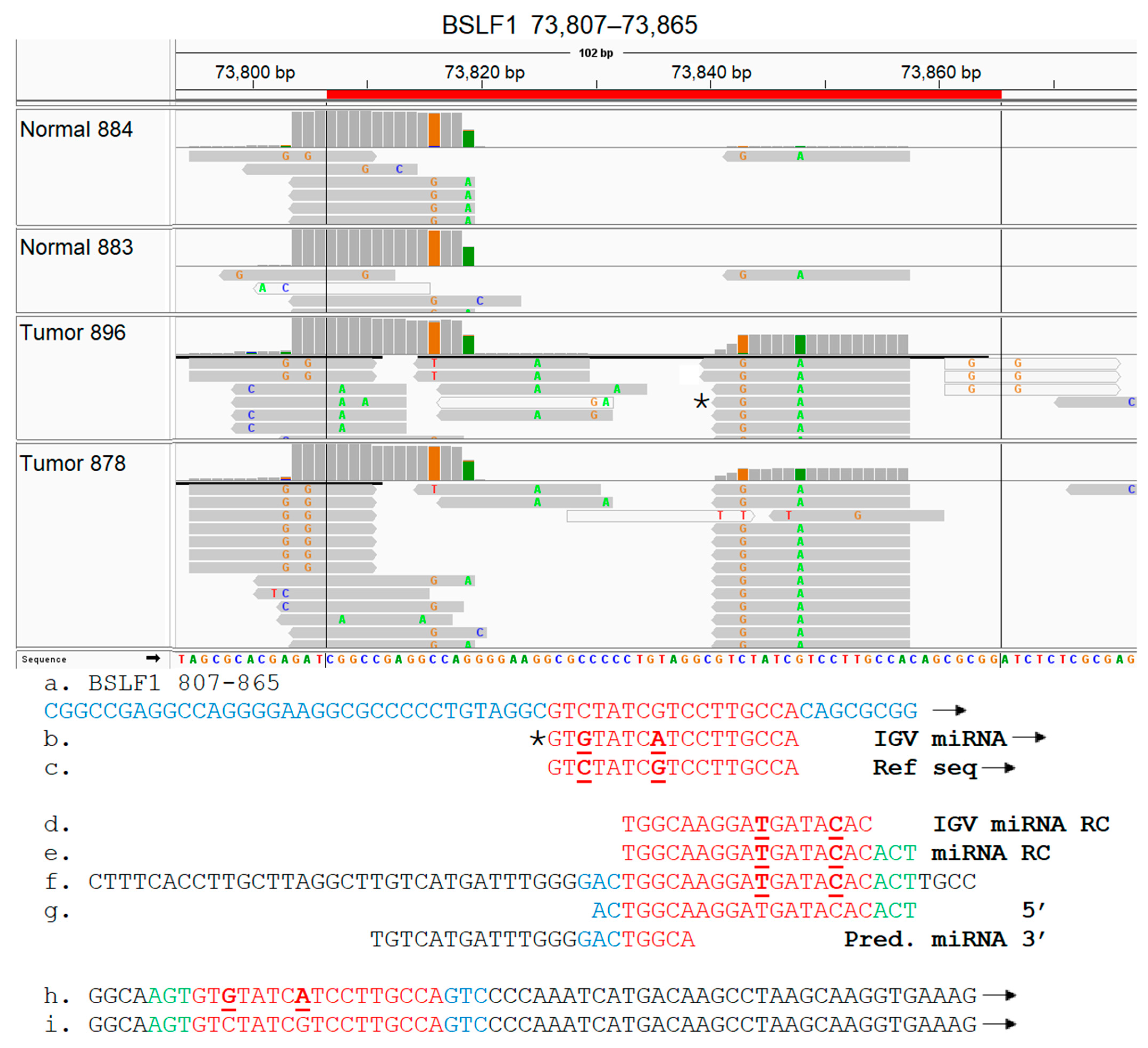 Genes 16 00756 g010 Genes 16 00756 g010