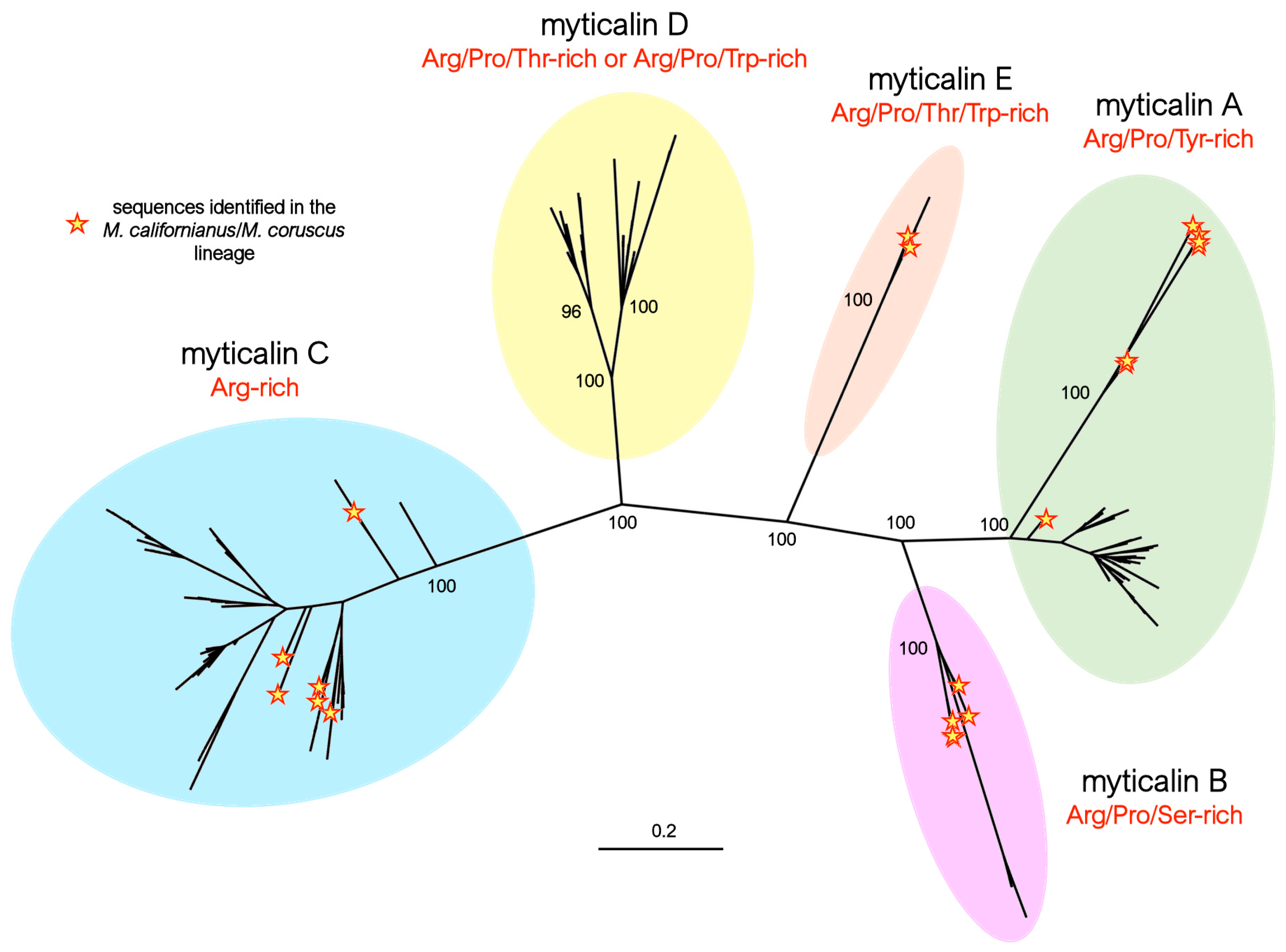 Genes 16 00816 g001