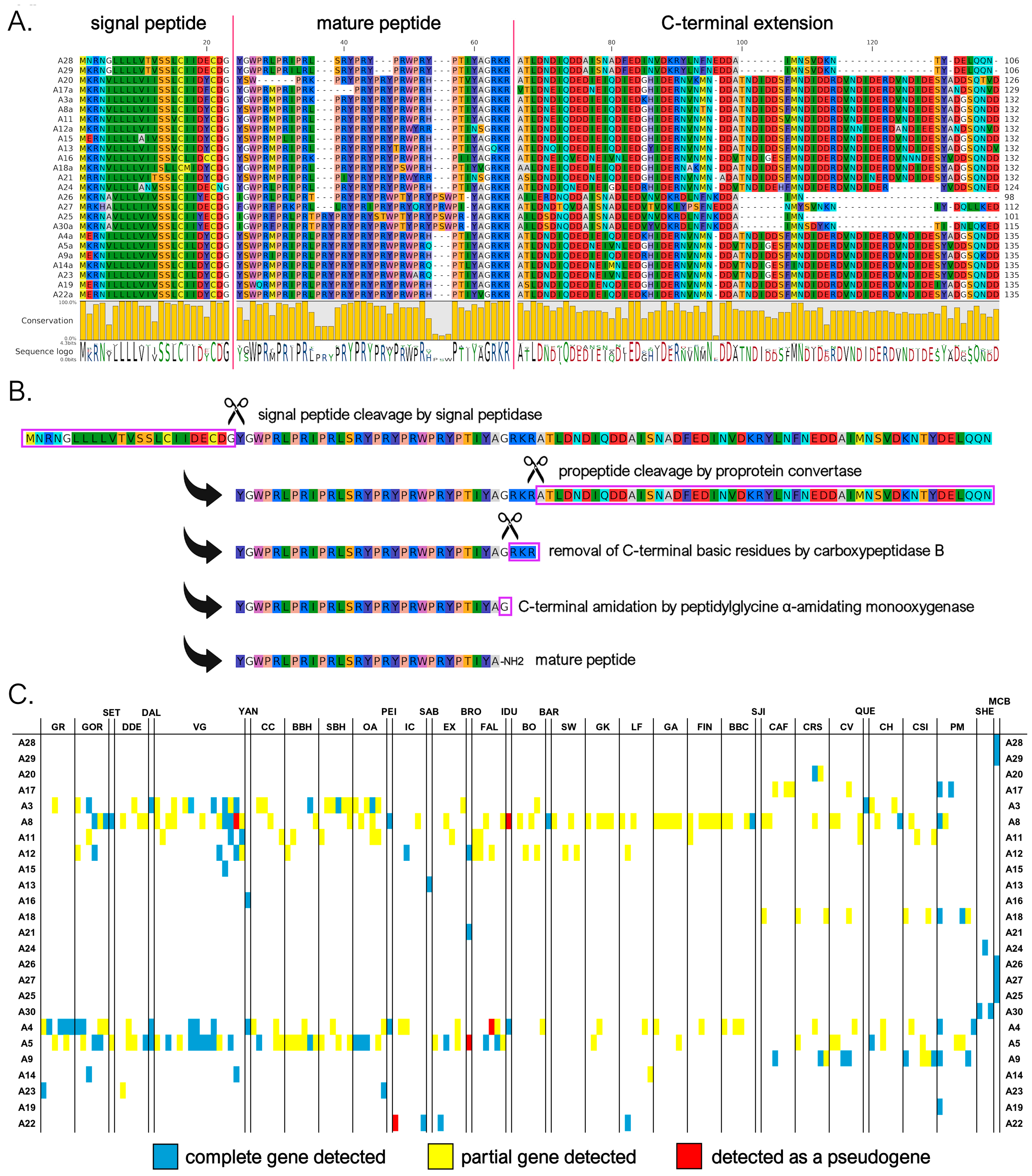 Genes 16 00816 g002