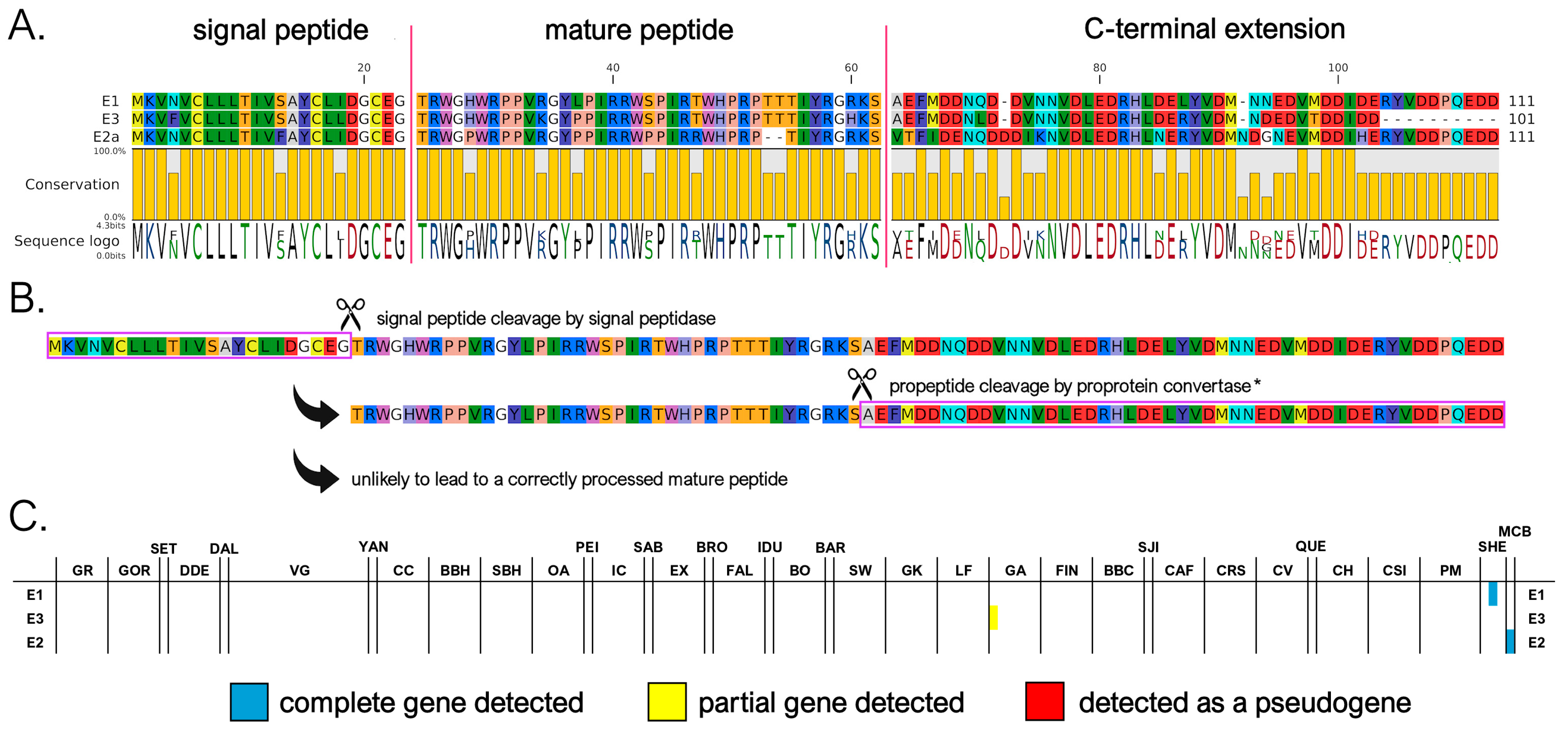Genes 16 00816 g006