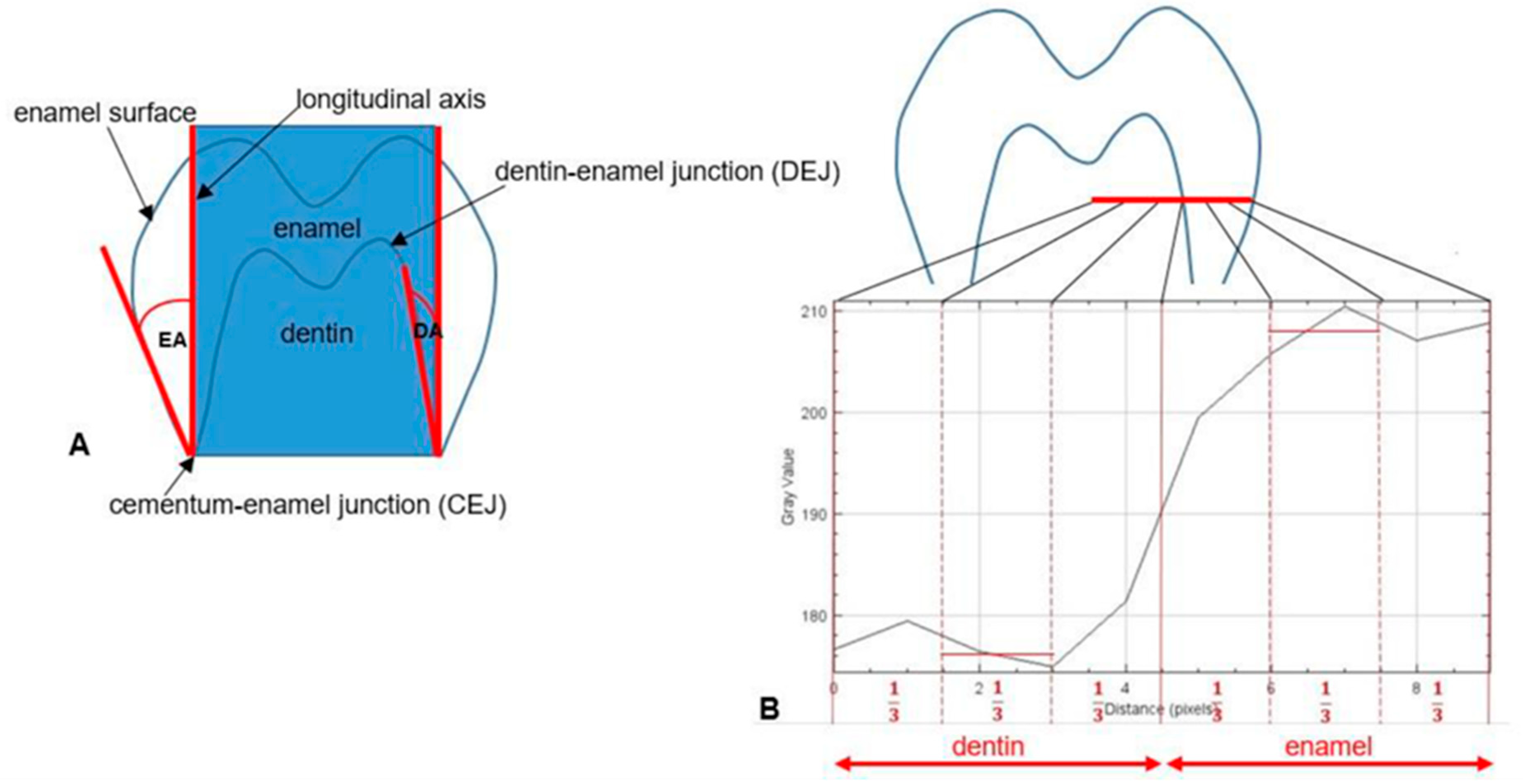 Genes 16 00822 g001 Genes 16 00822 g001