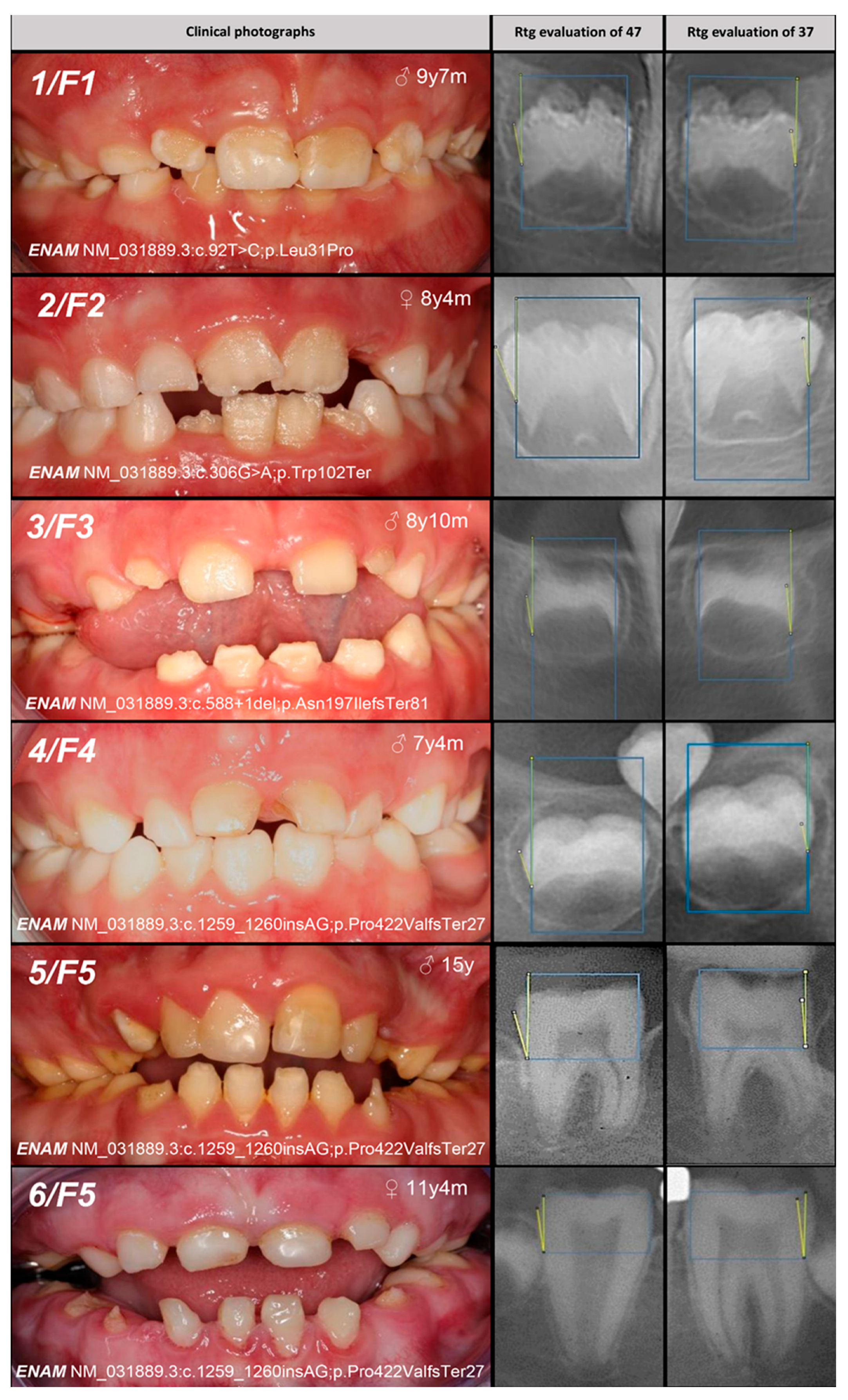 Genes 16 00822 g002a Genes 16 00822 g002a