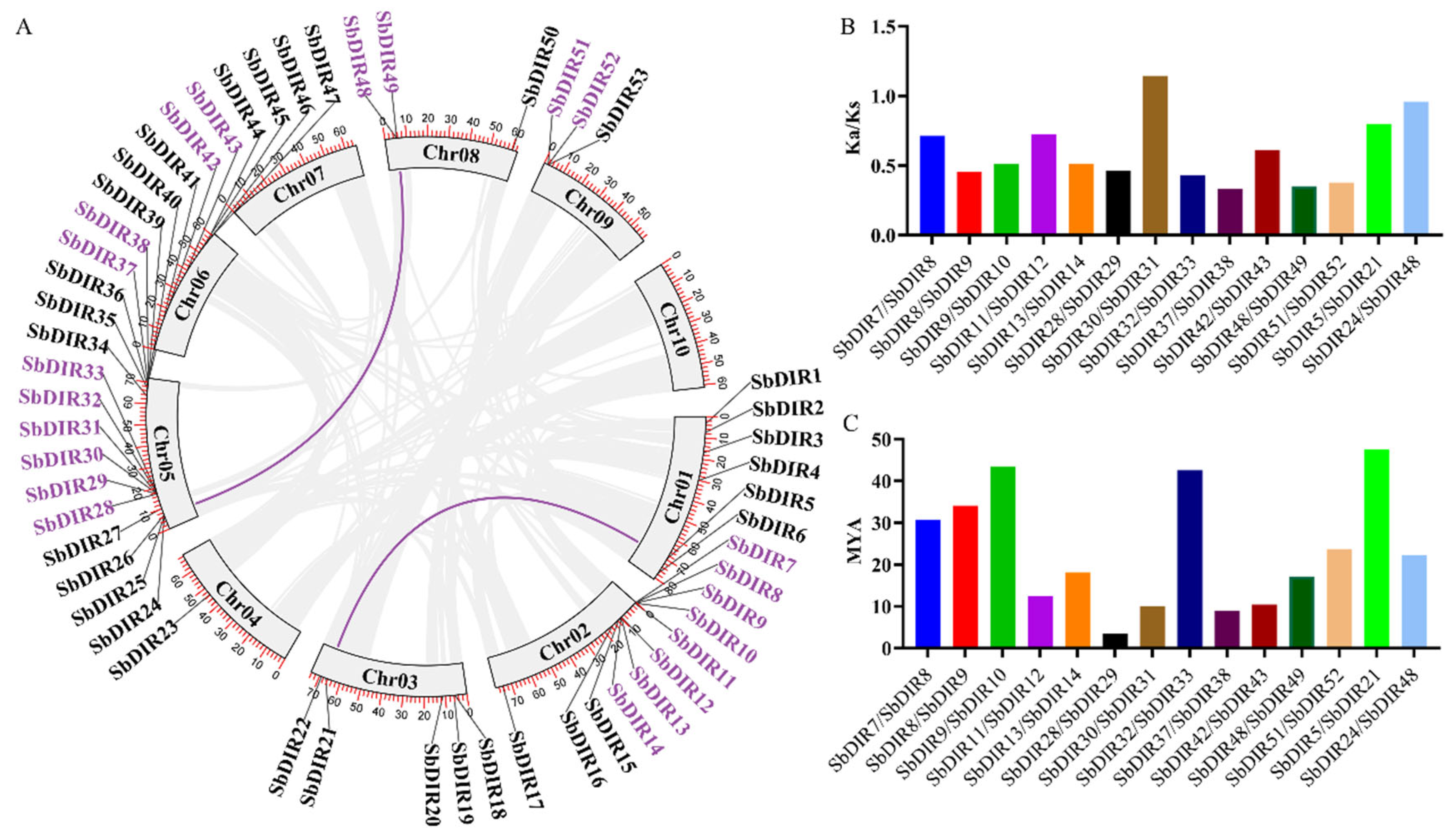 Genes 16 00973 g005 Genes 16 00973 g005