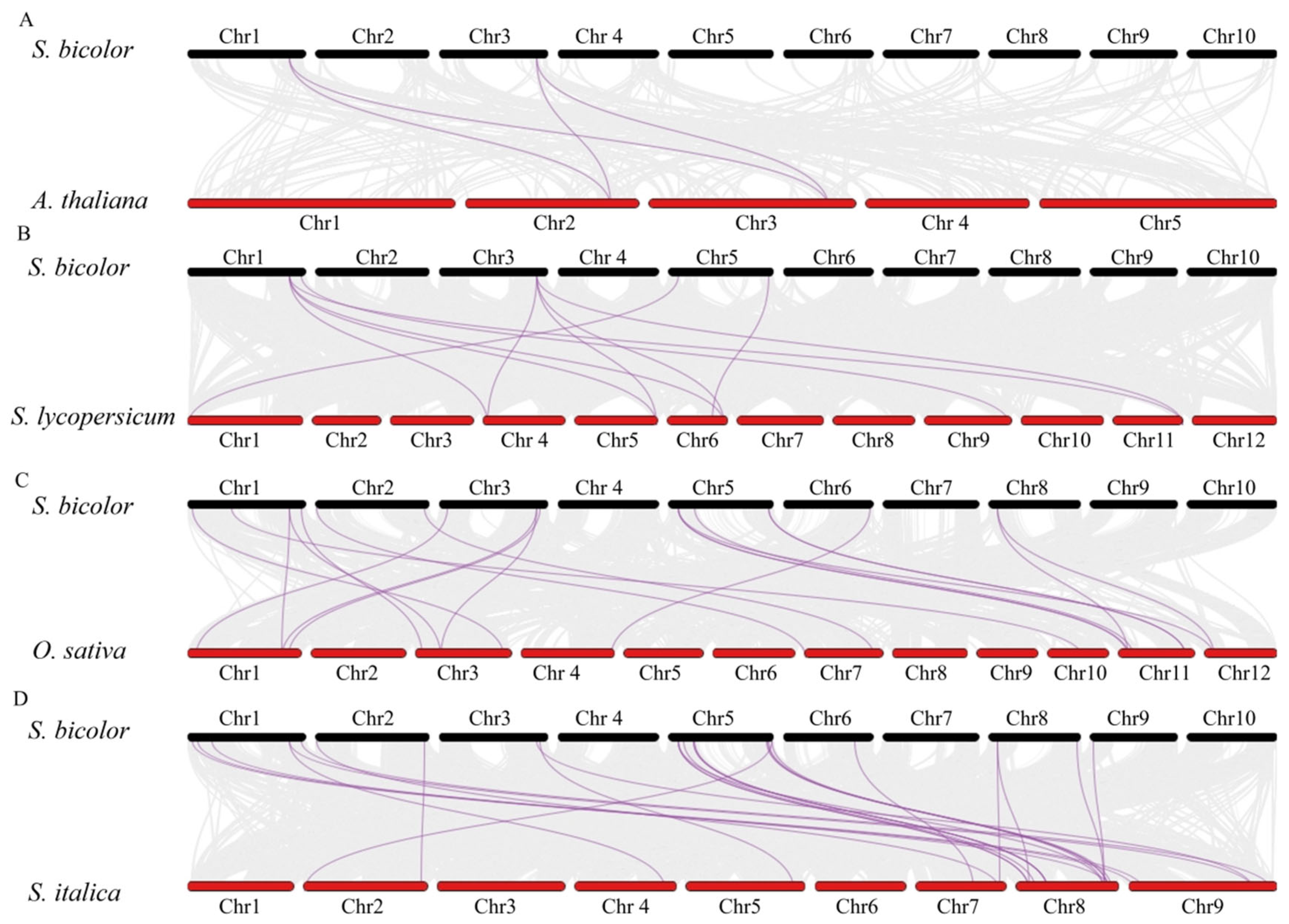 Genes 16 00973 g006 Genes 16 00973 g006