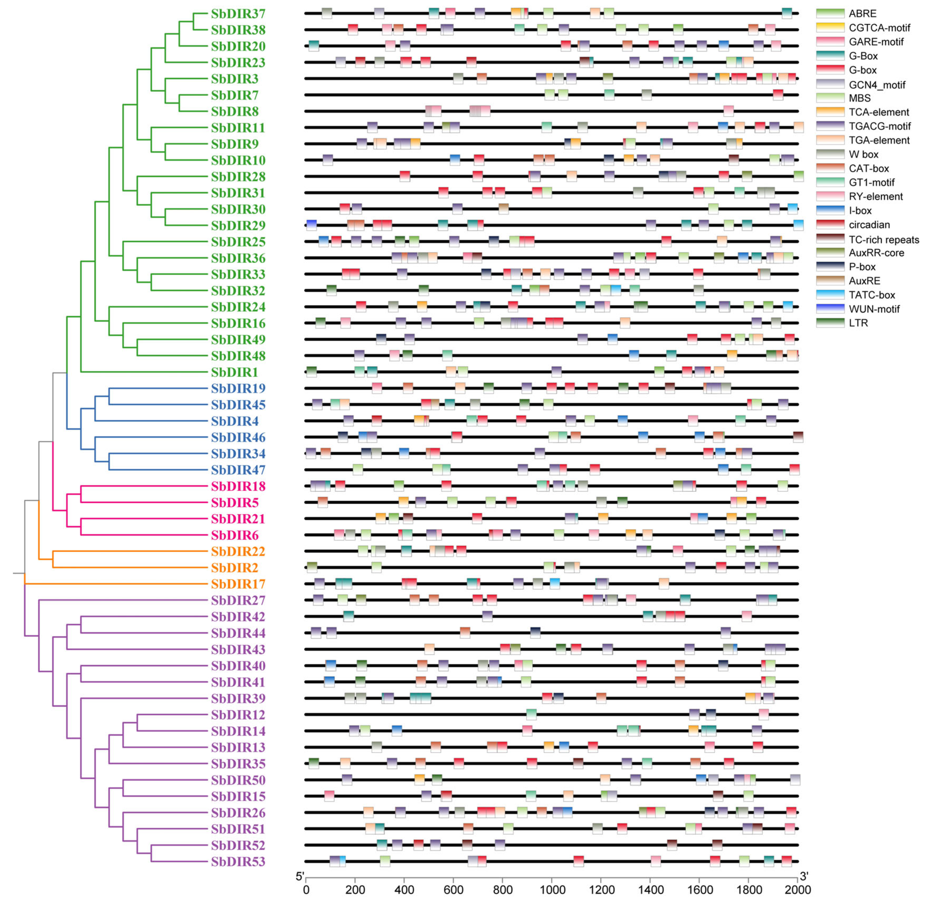 Genes 16 00973 g007 Genes 16 00973 g007