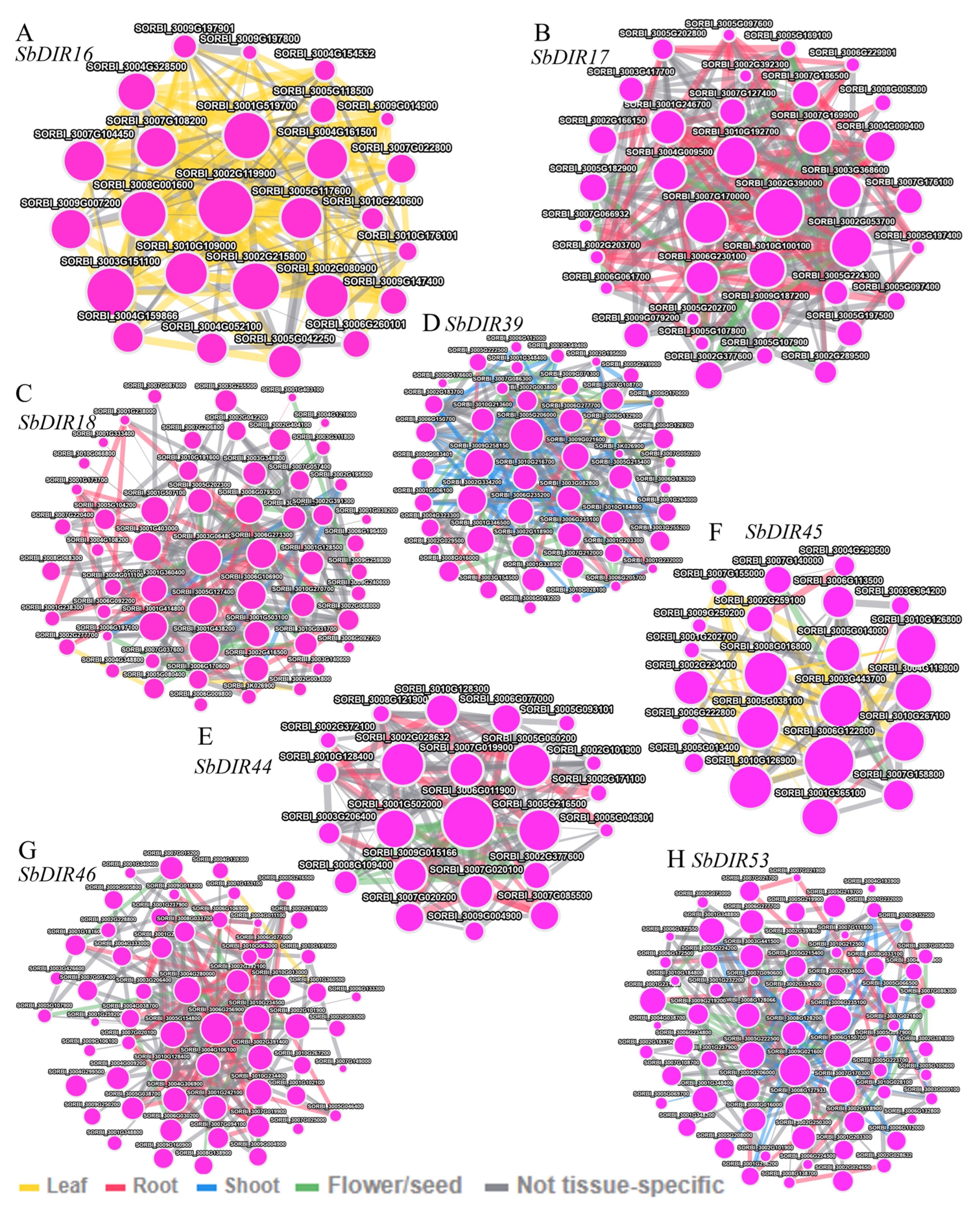 Genes 16 00973 g010 Genes 16 00973 g010