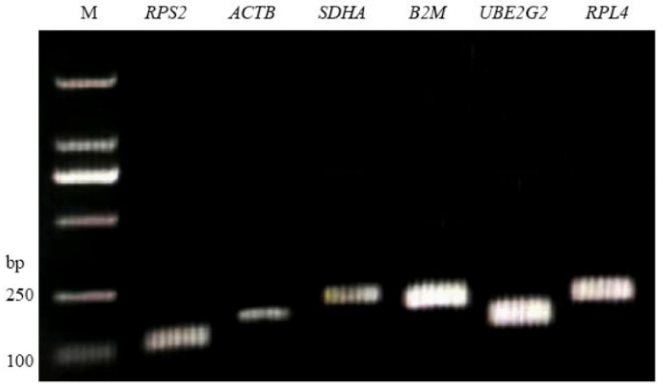 Genes 16 01056 g001 Genes 16 01056 g001