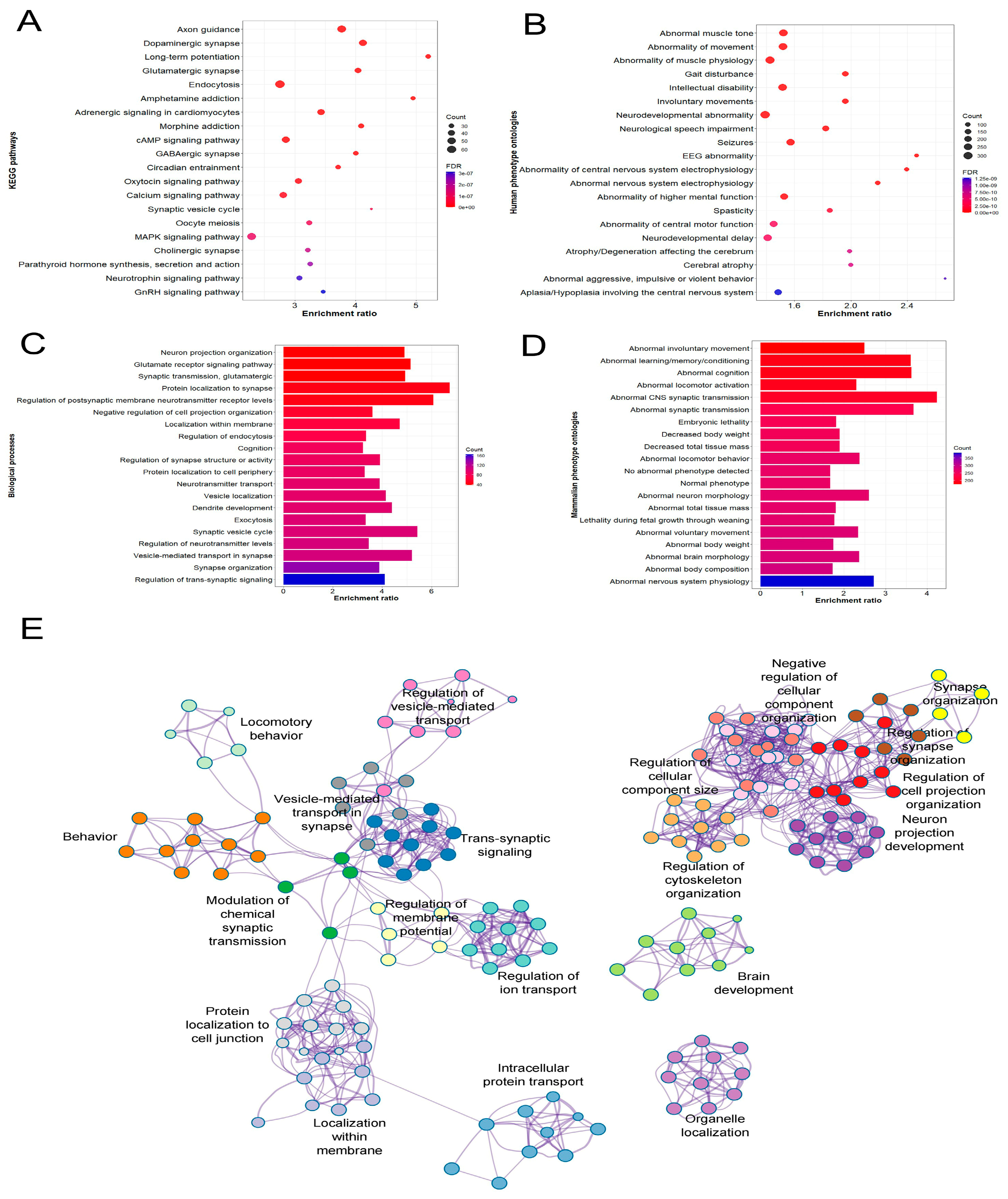 Genes 16 01139 g002 Genes 16 01139 g002