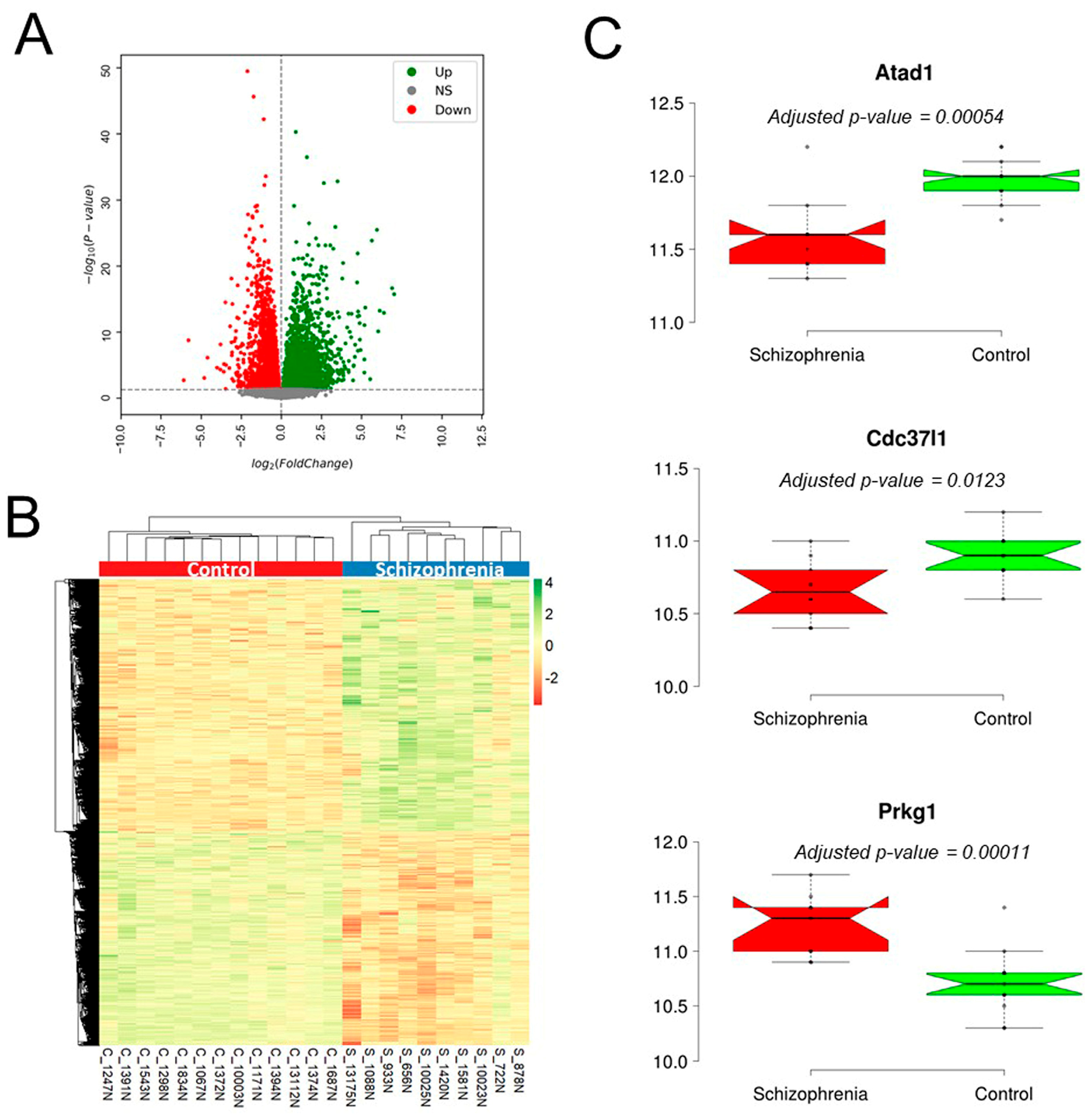 Genes 16 01139 g006 Genes 16 01139 g006