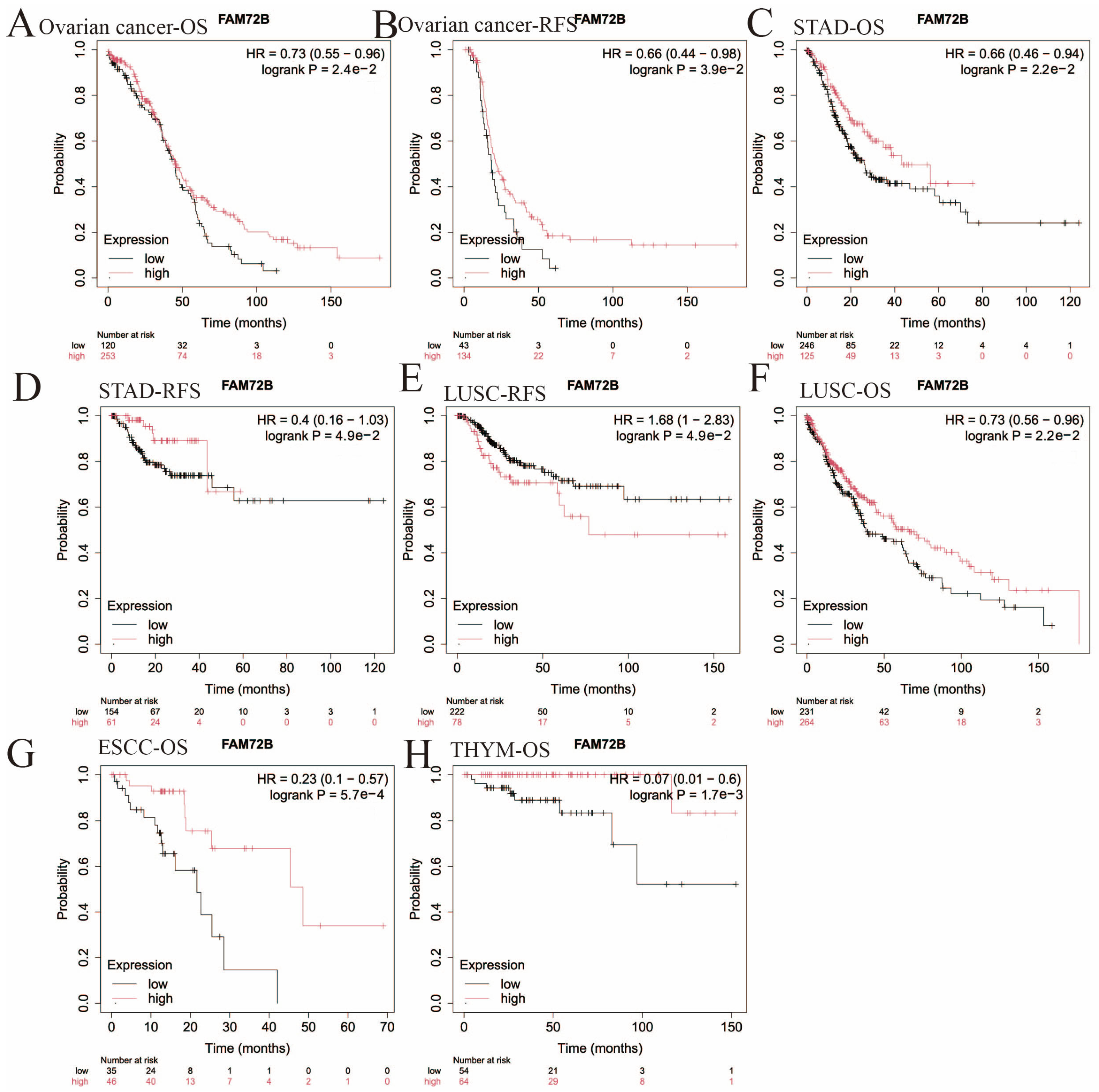Genes 16 01140 g005 Genes 16 01140 g005