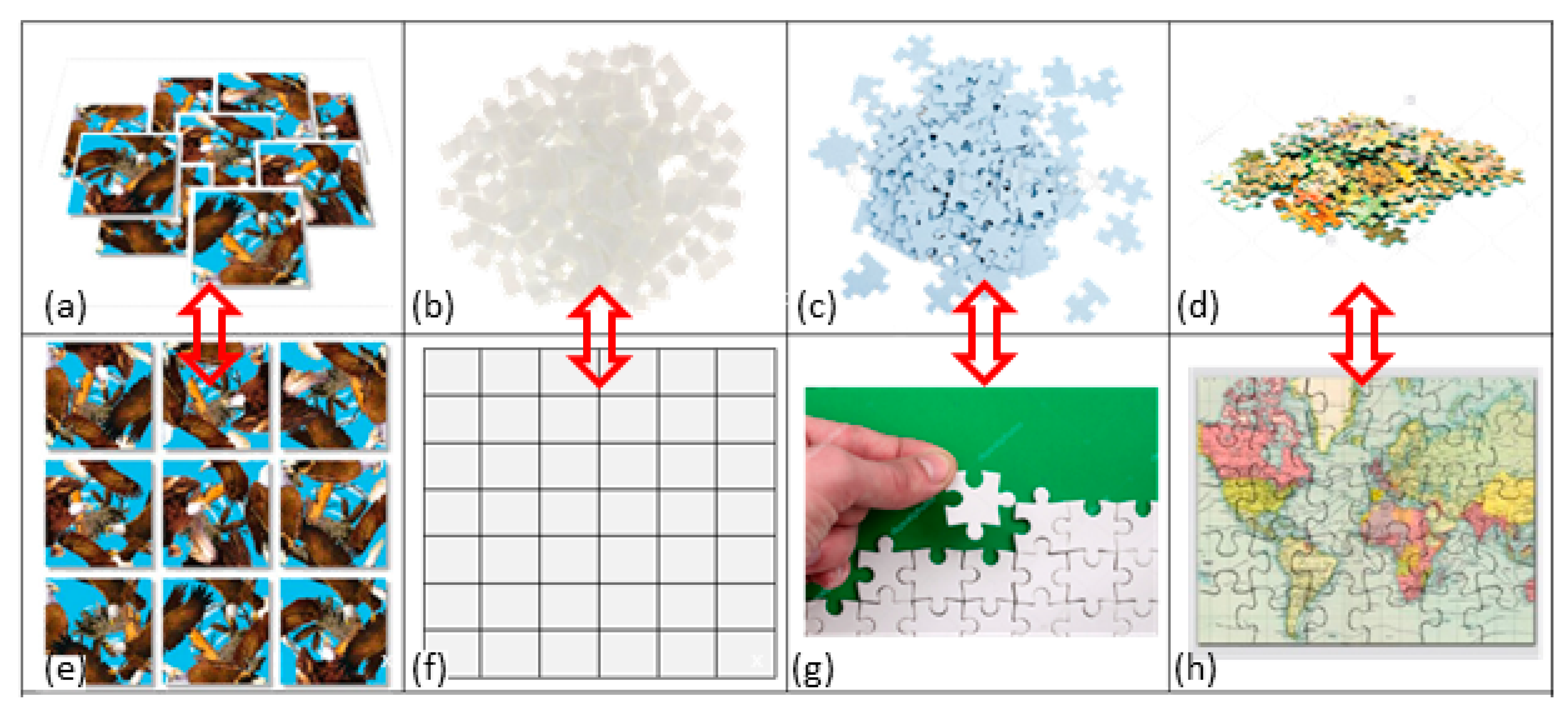 SpaNEx interface for autocorrelation analysis with a defined neighbourhood