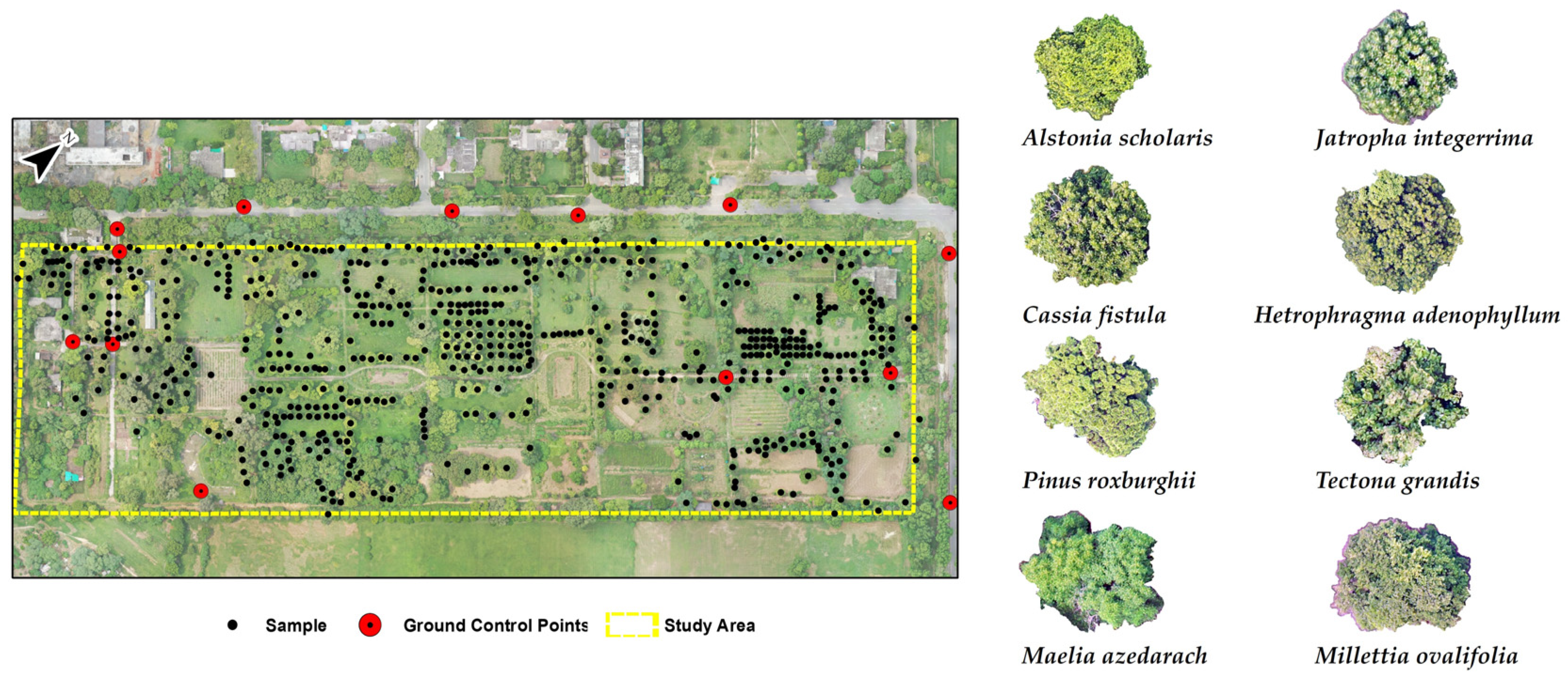 Geomatics 05 00042 g004 Geomatics 05 00042 g004