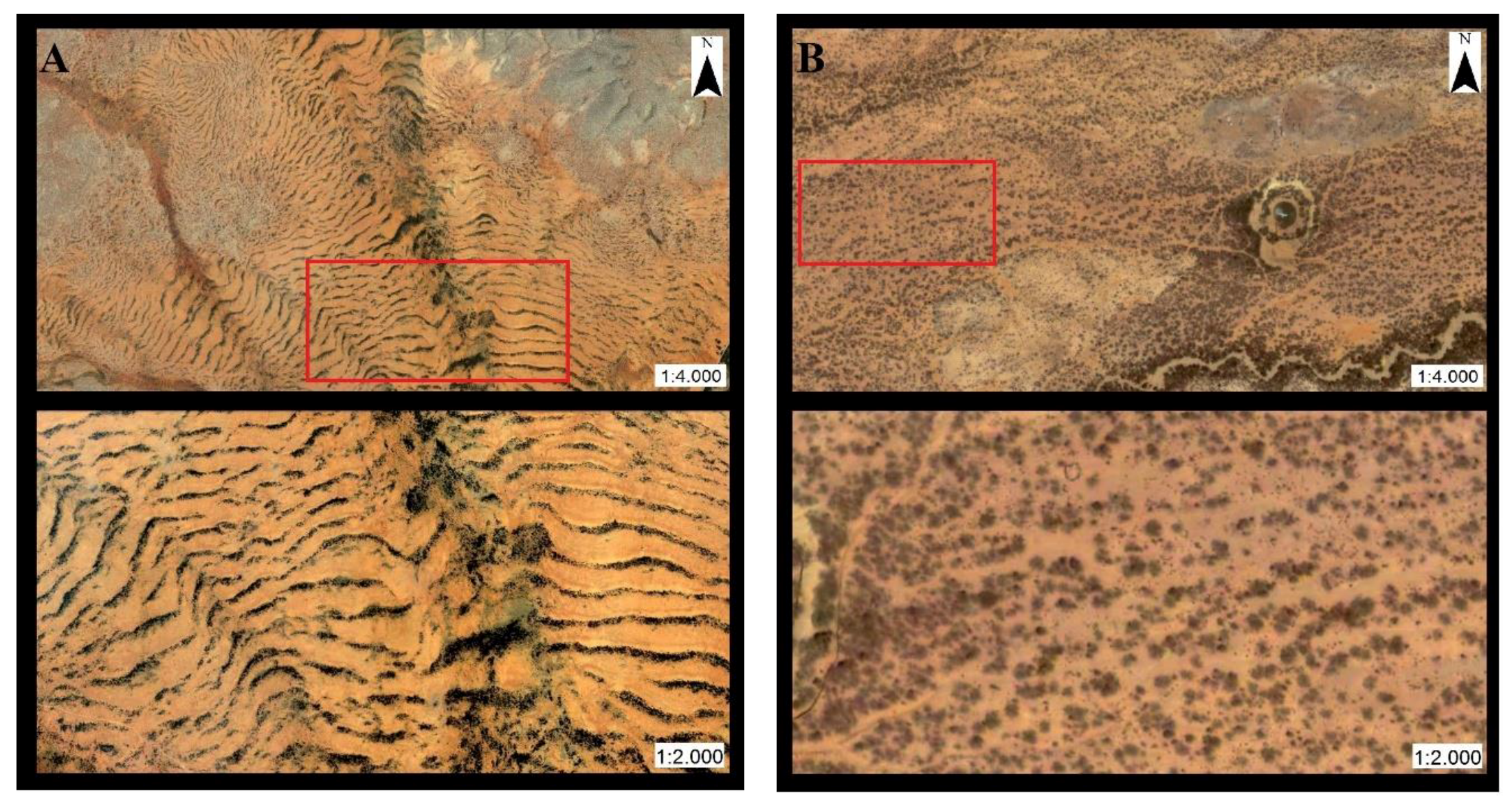 Geosciences | Free Full-Text | The Use of High-Resolution Historical Images  to Analyse the Leopard Pattern in the Arid Area of La Alta Guajira, Colombia
