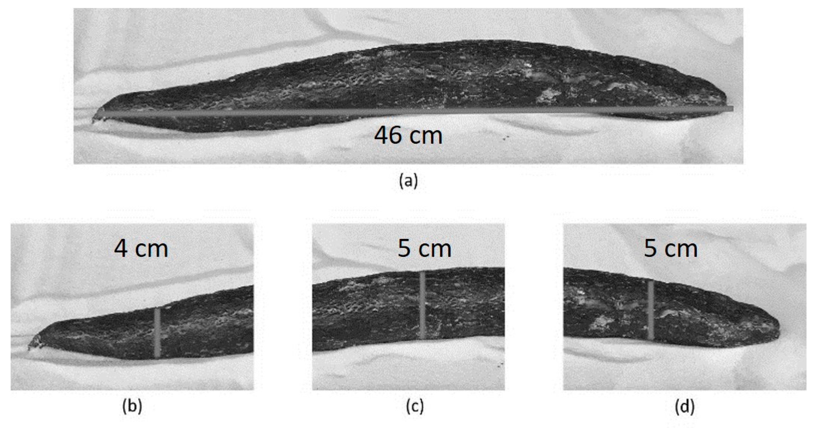 Geosciences 09 00171 g003