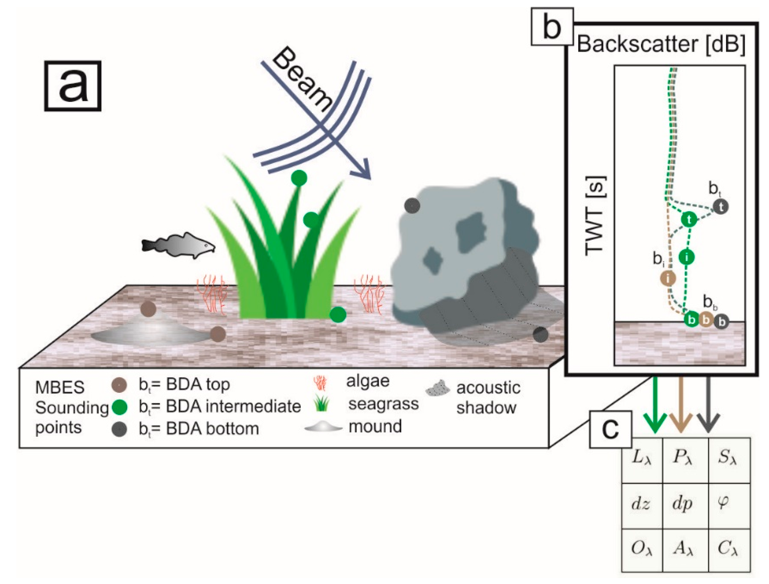 Geosciences | Free Full-Text | New Feature Classes for Acoustic Habitat  Mapping—A Multibeam Echosounder Point Cloud Analysis for Mapping Submerged  Aquatic Vegetation (SAV) | HTML