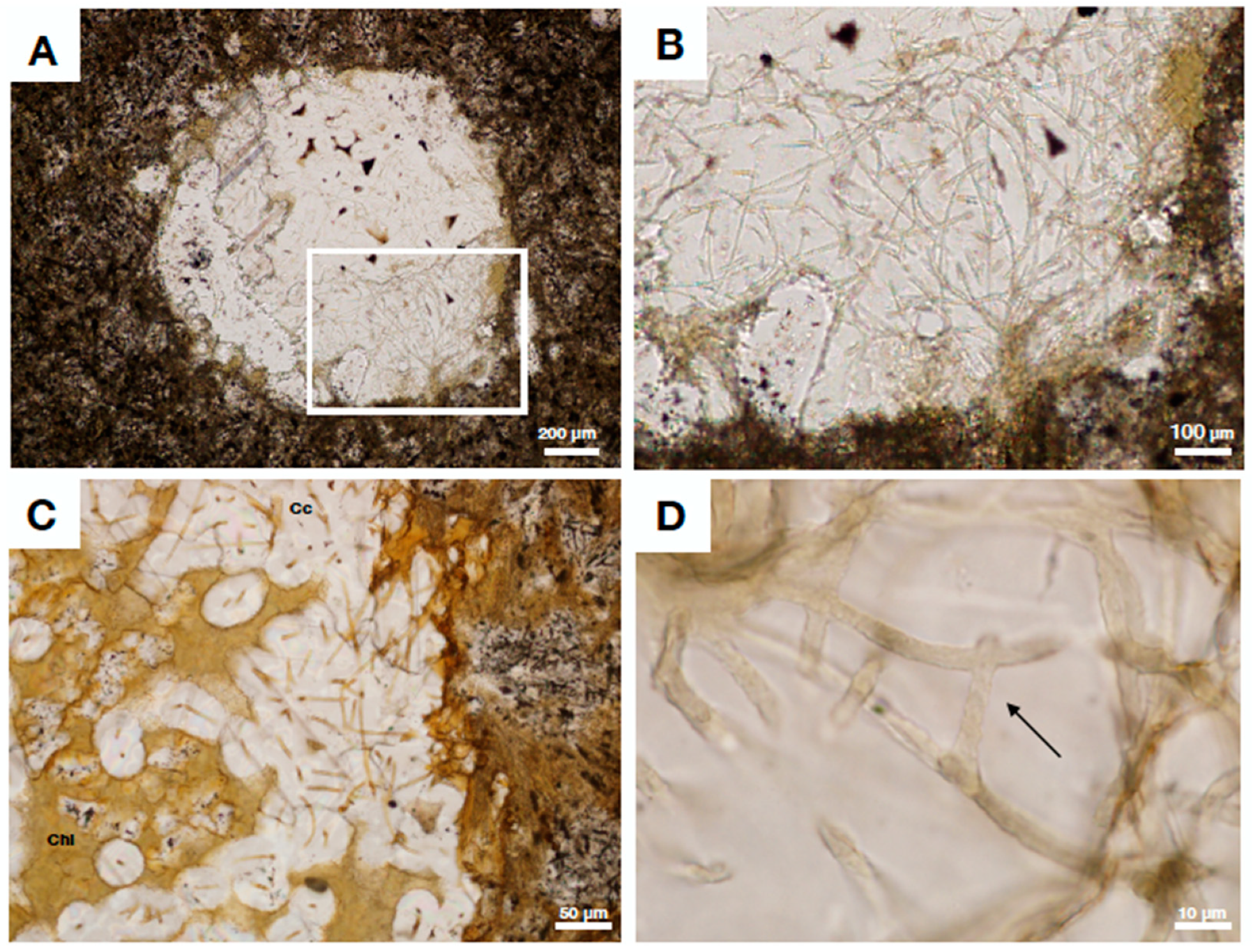 Geosciences 09 00369 g001