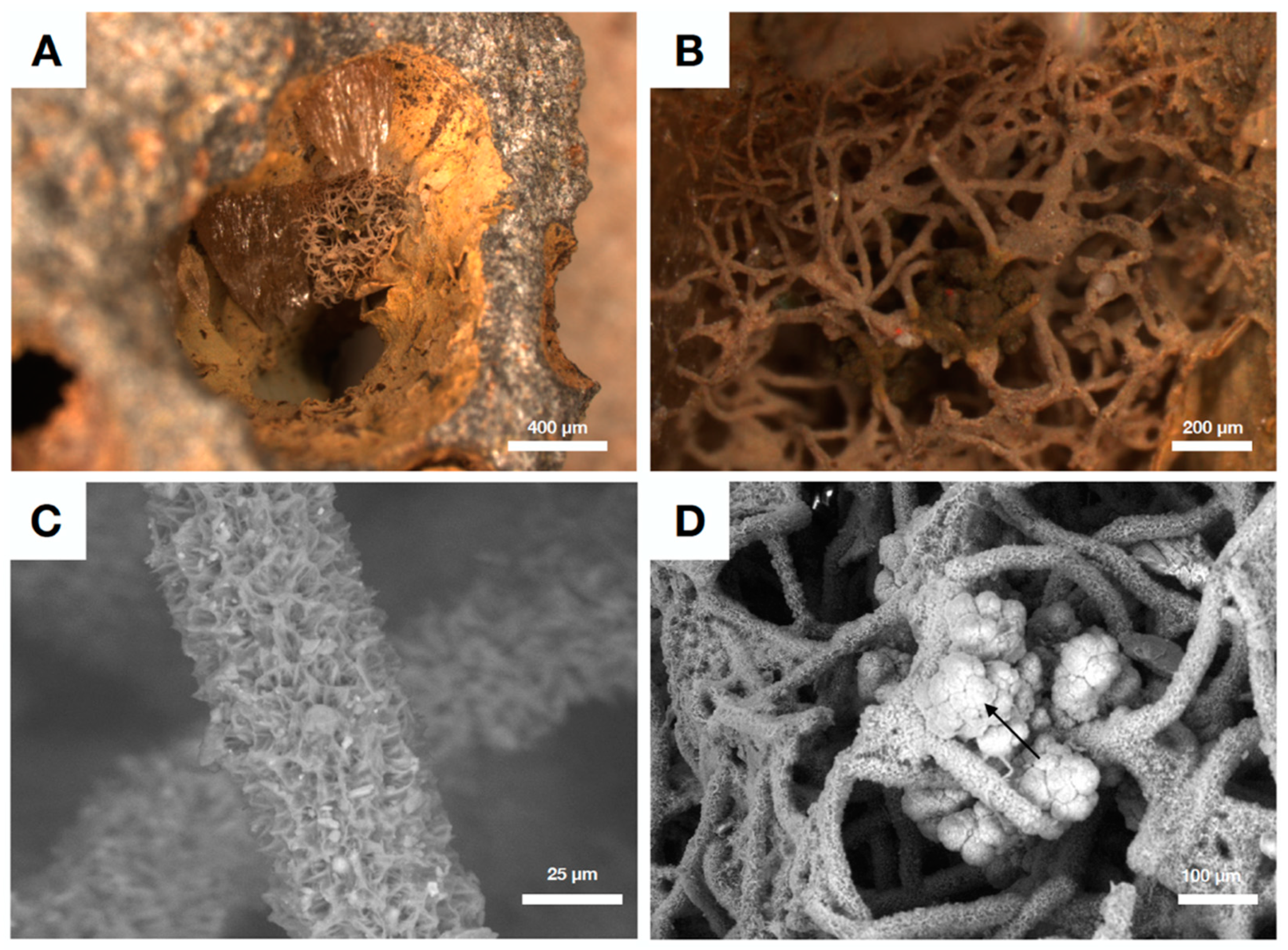 Geosciences 09 00369 g006
