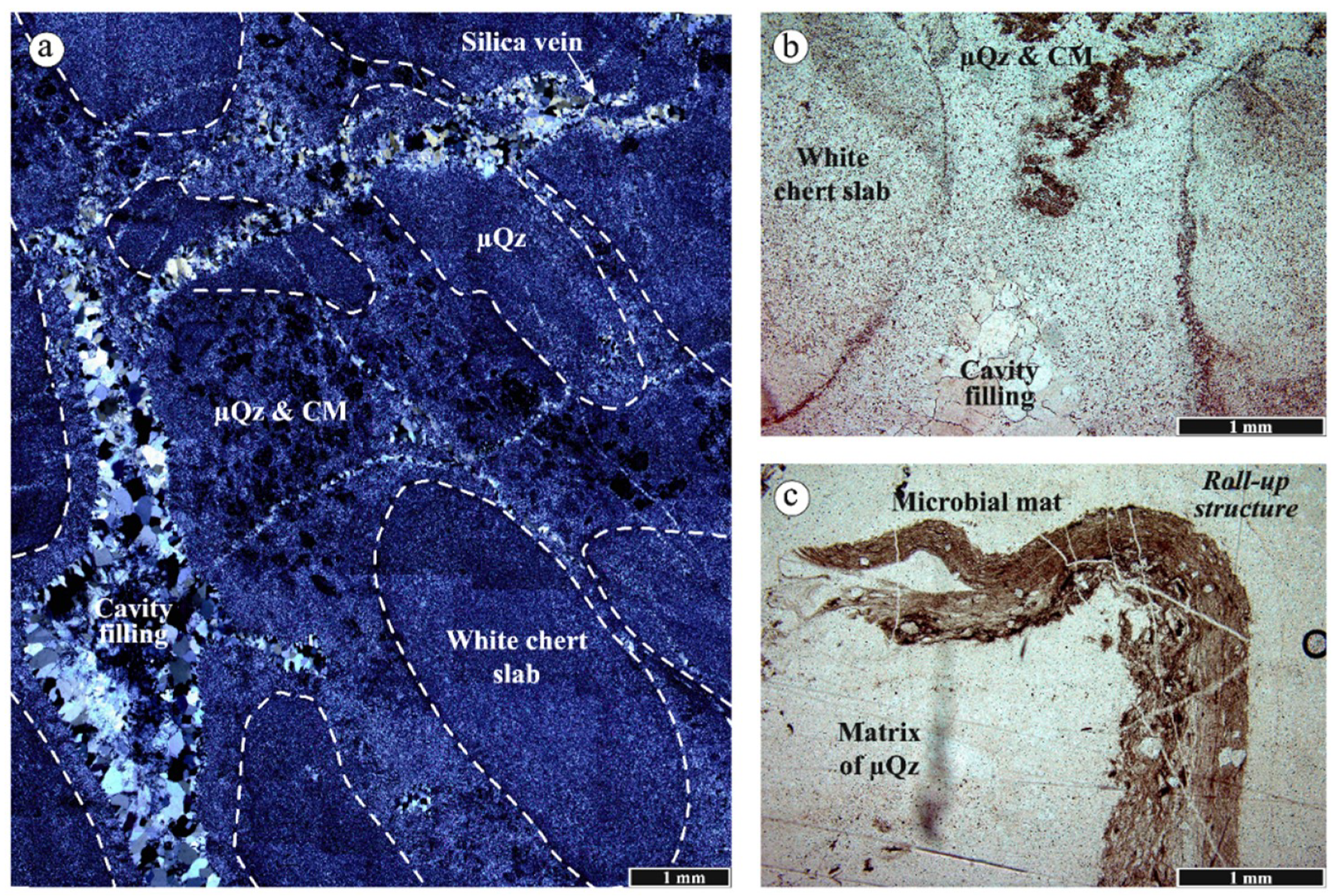 Geosciences Free Full Text The Sedimentary Origin Of Black And