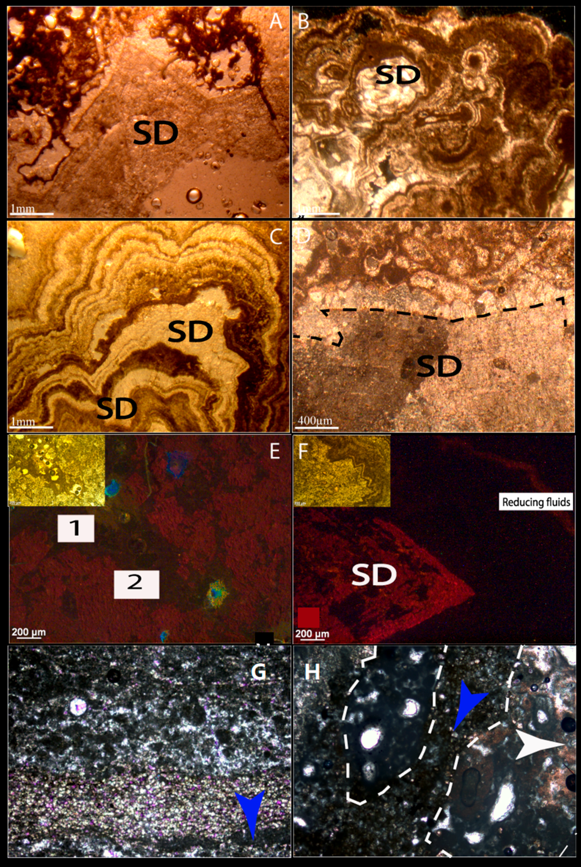 Geosciences 09 00459 g011