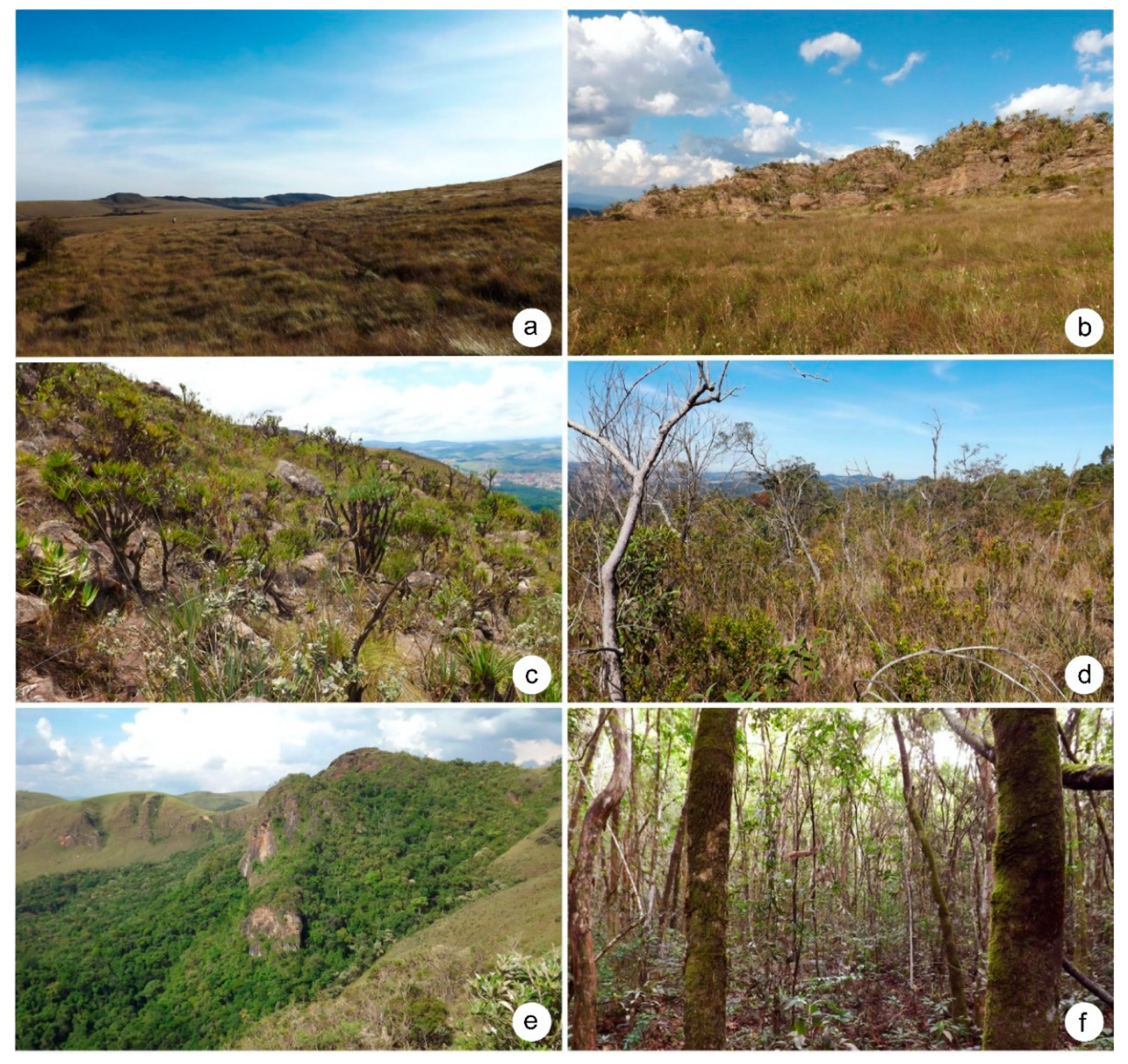 Geosciences 10 00106 g002 Geosciences 10 00106 g002