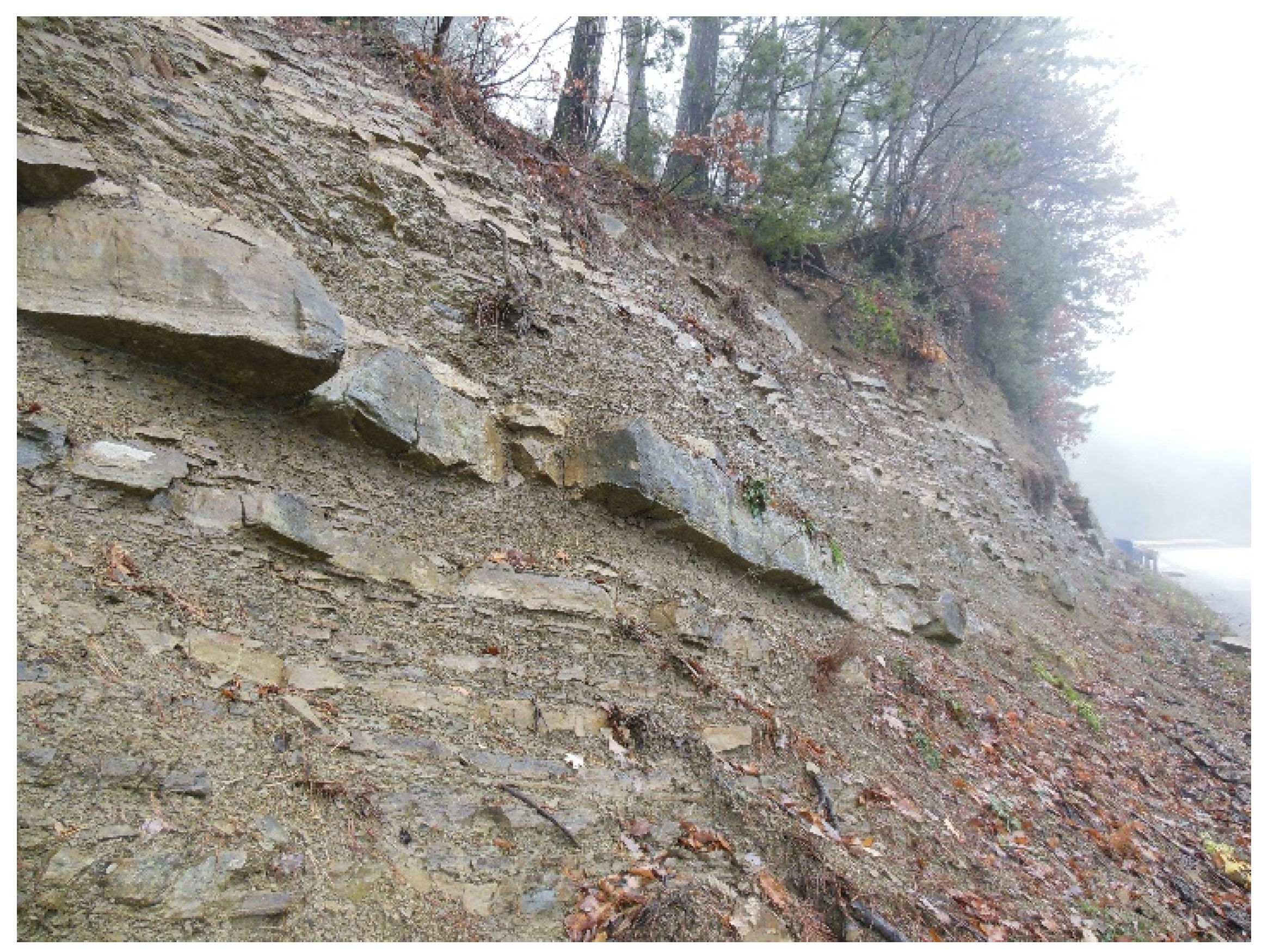 Geosciences 10 00294 g002