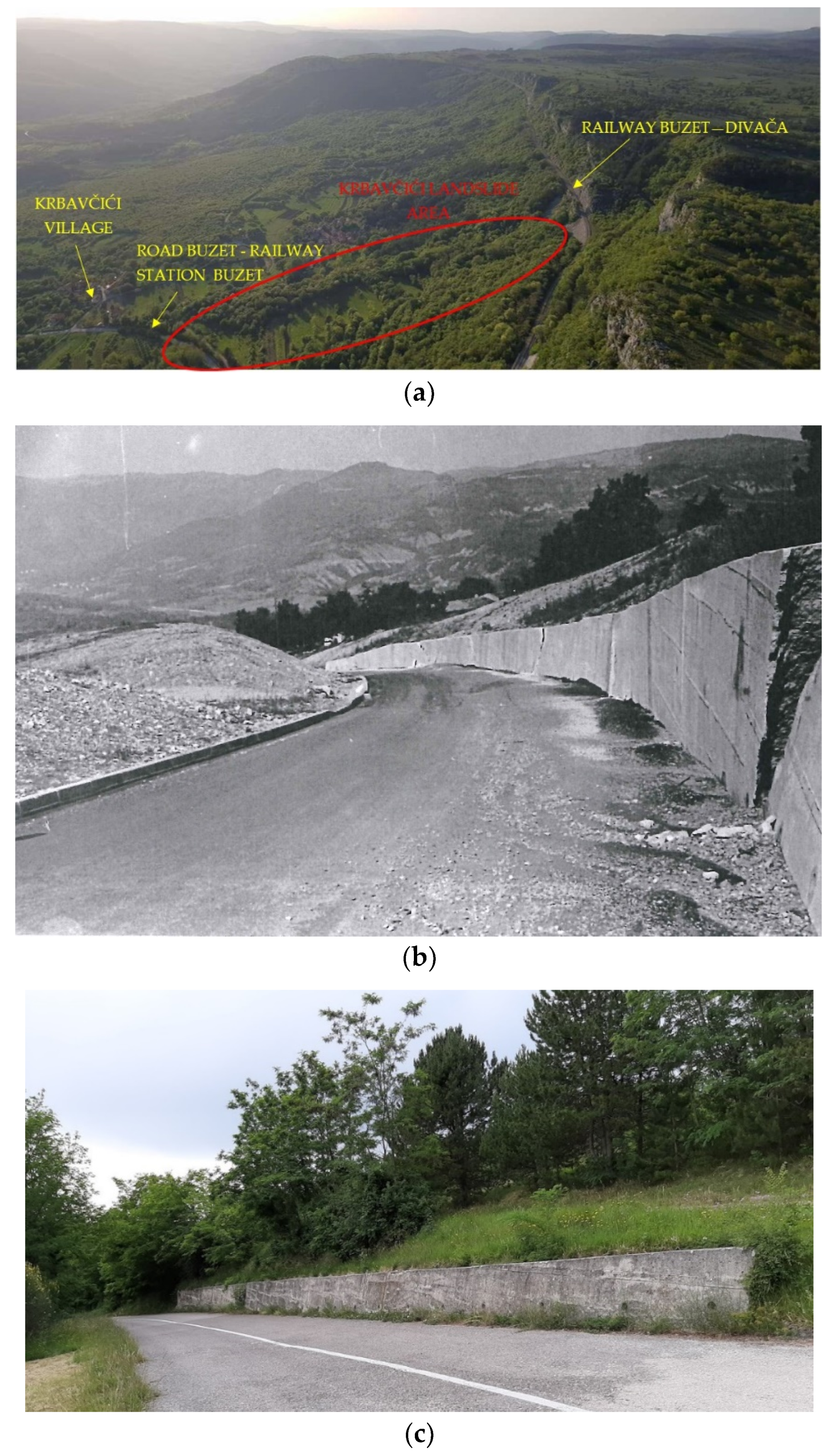 Geosciences 10 00294 g004