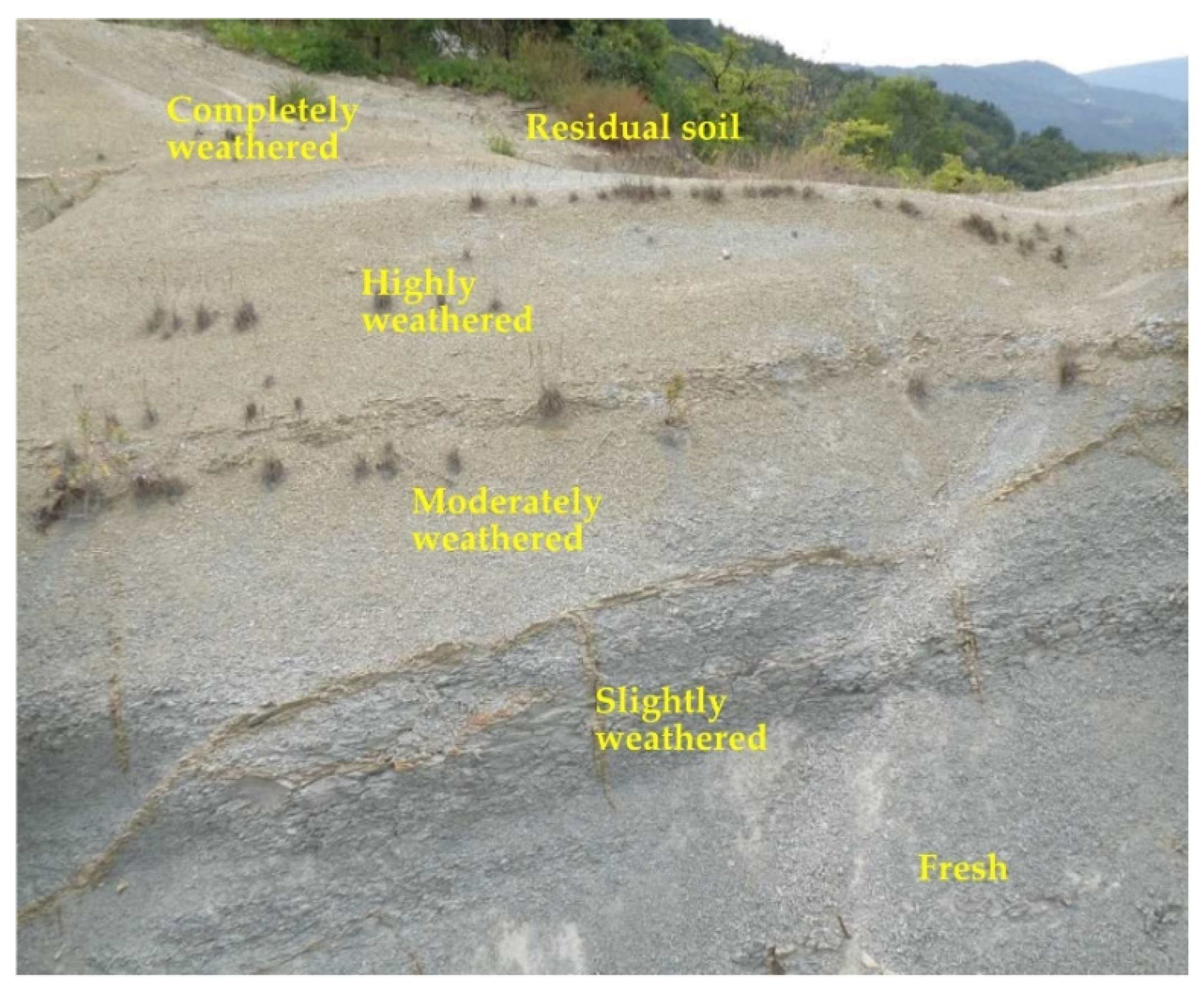 Geosciences 10 00294 g008