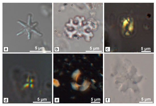 Geosciences | Free Full-Text | Late Miocene-Early Pliocene Out-of ...