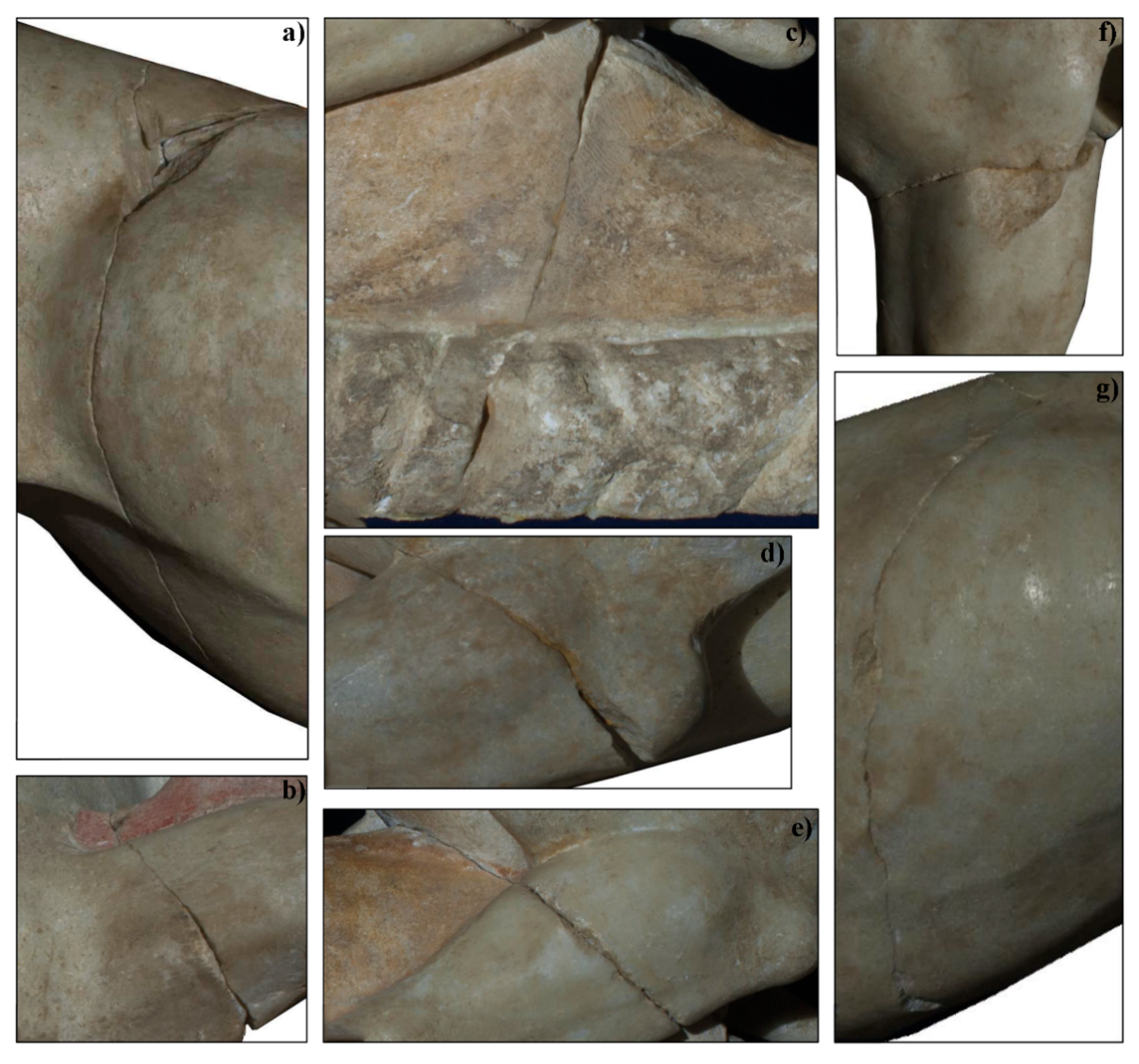 Geosciences 10 00307 g007 Geosciences 10 00307 g007