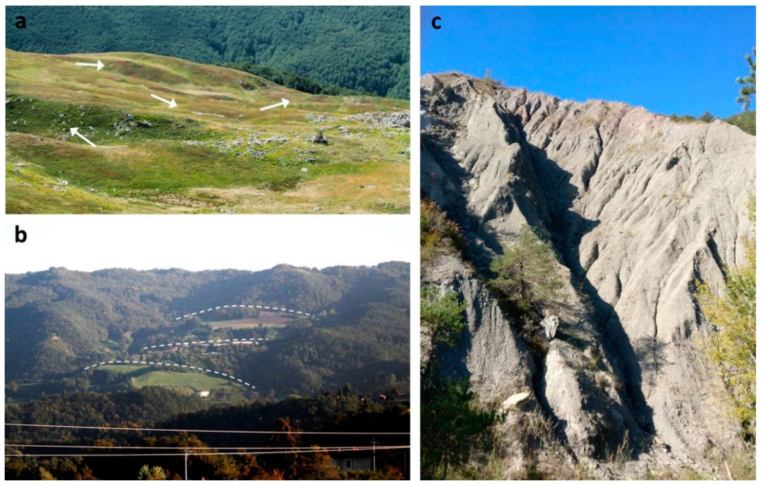 Geosciences 10 00334 g005