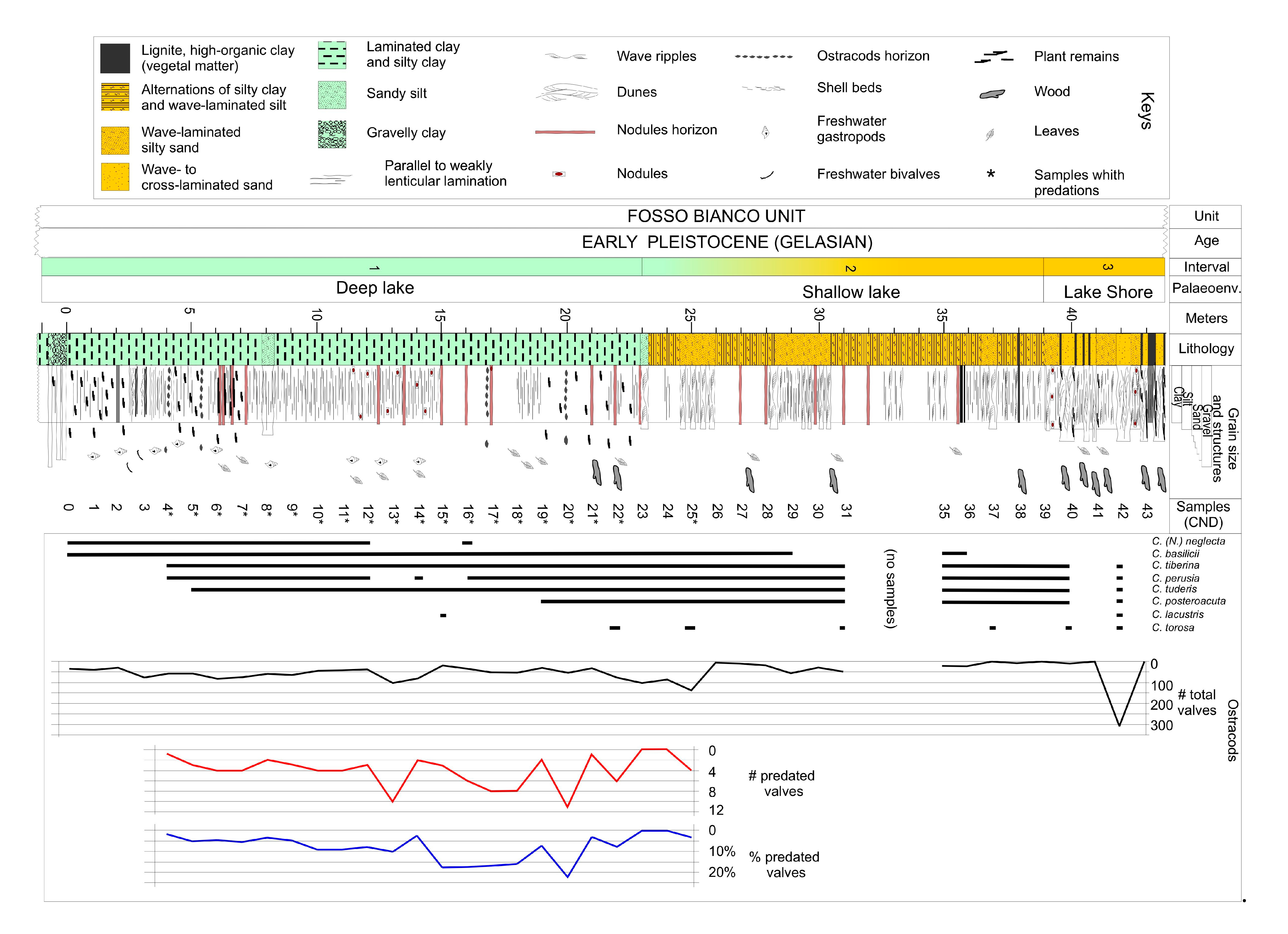 Geosciences 10 00416 g003