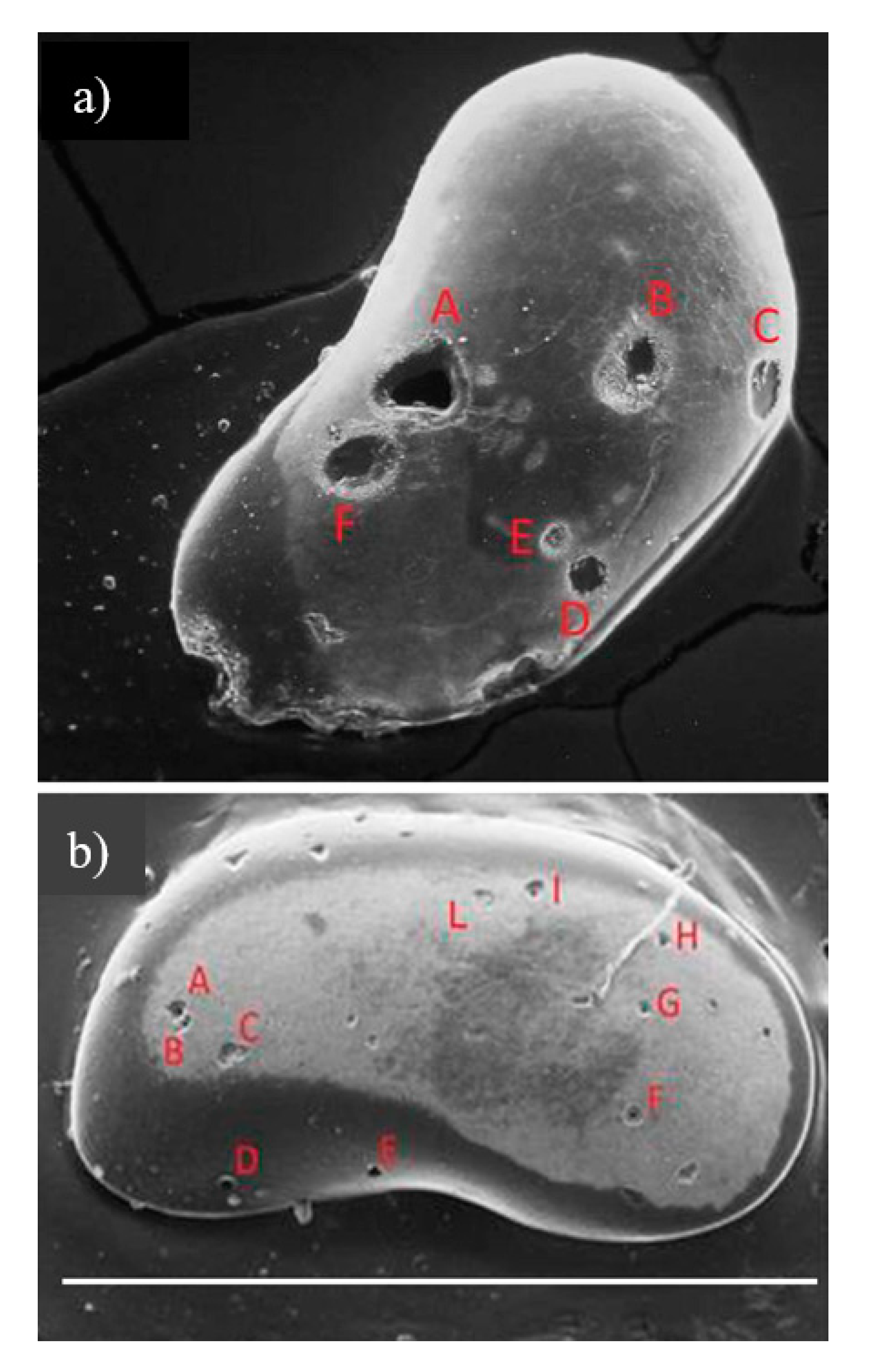Geosciences 10 00416 g008