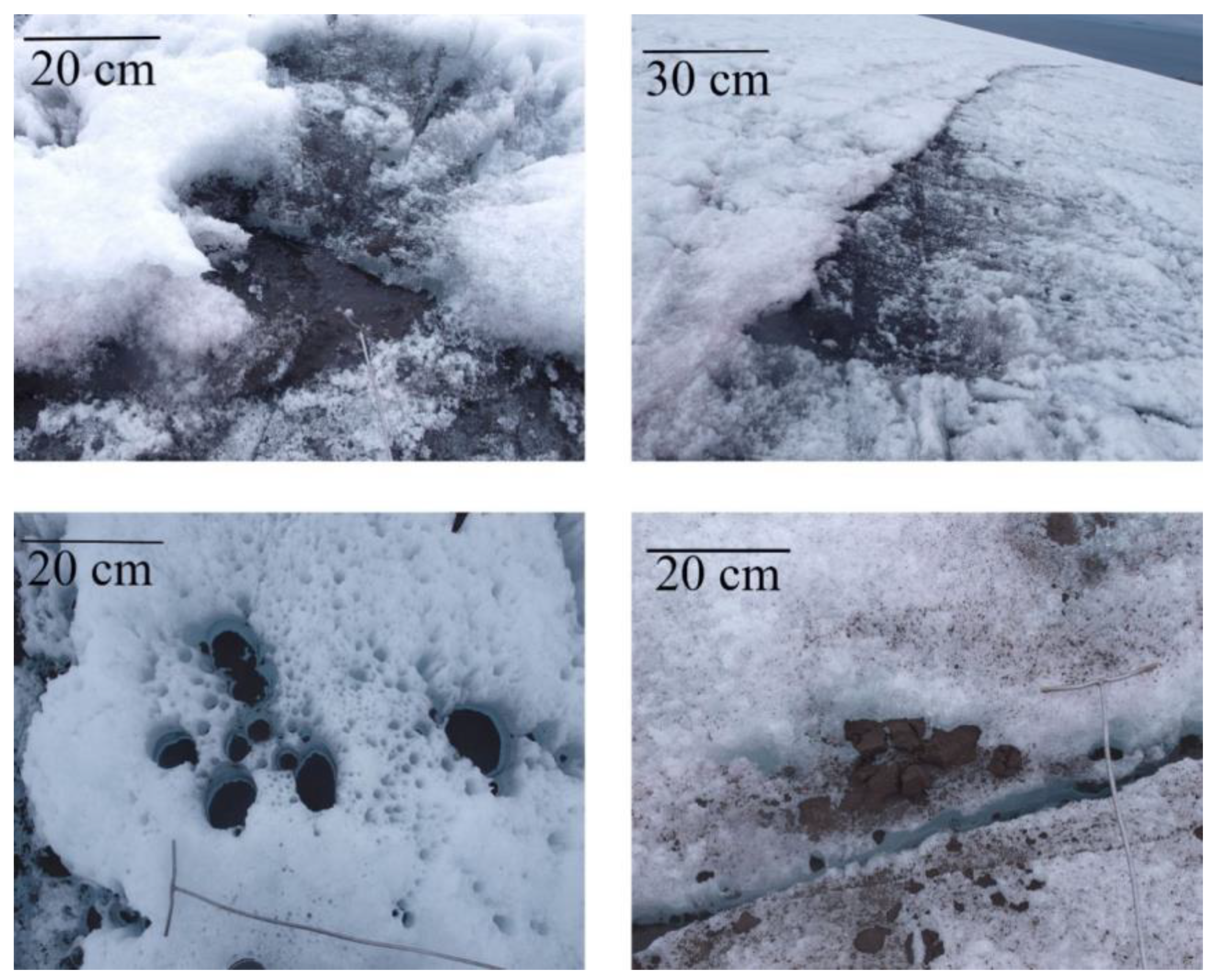 What is black carbon and how is it changing the face of Antarctica