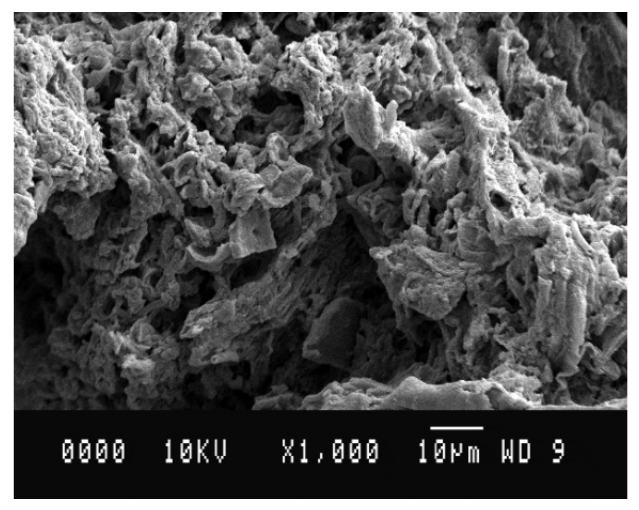 Geosciences 11 00243 g015