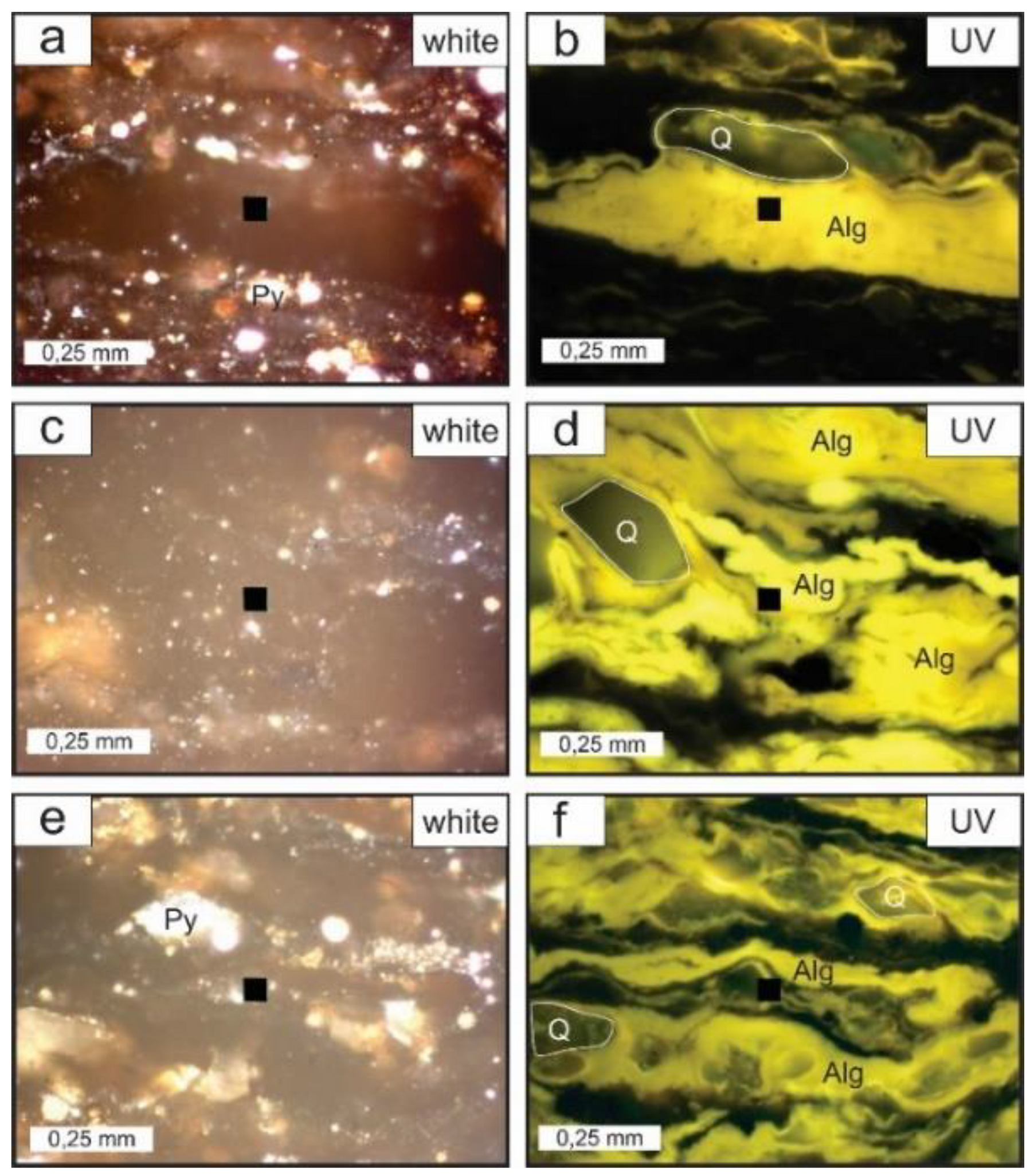 Geosciences 11 00252 g005