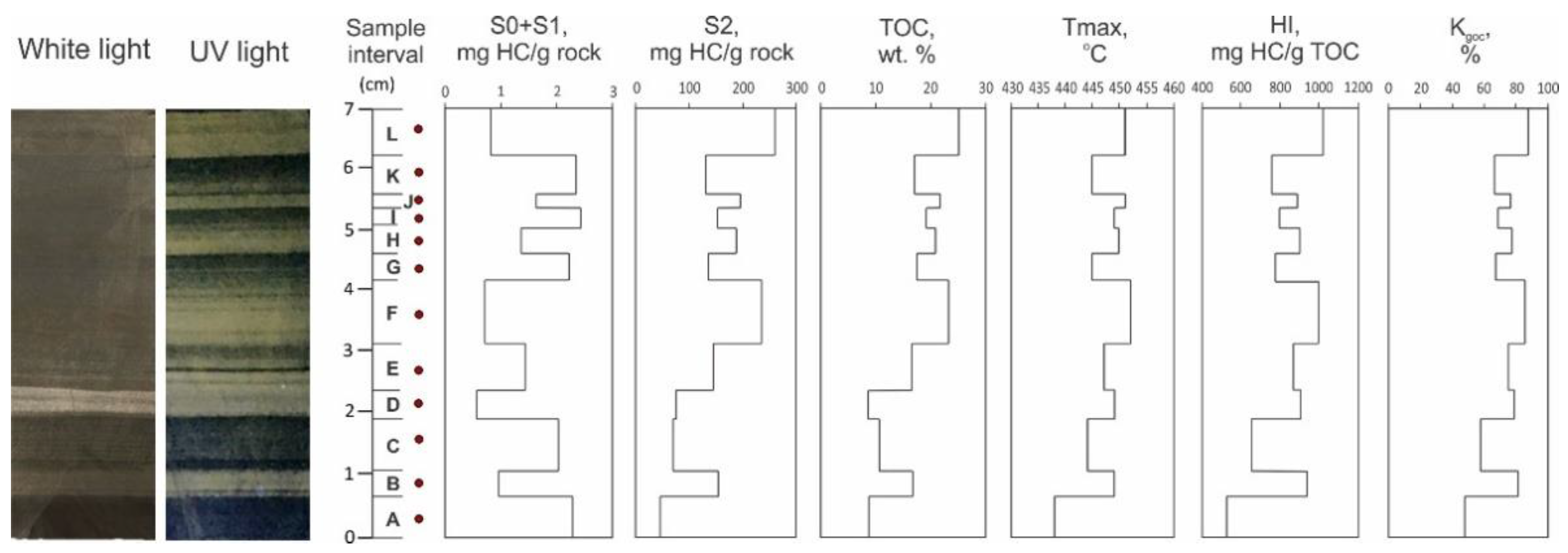 Geosciences 11 00252 g007