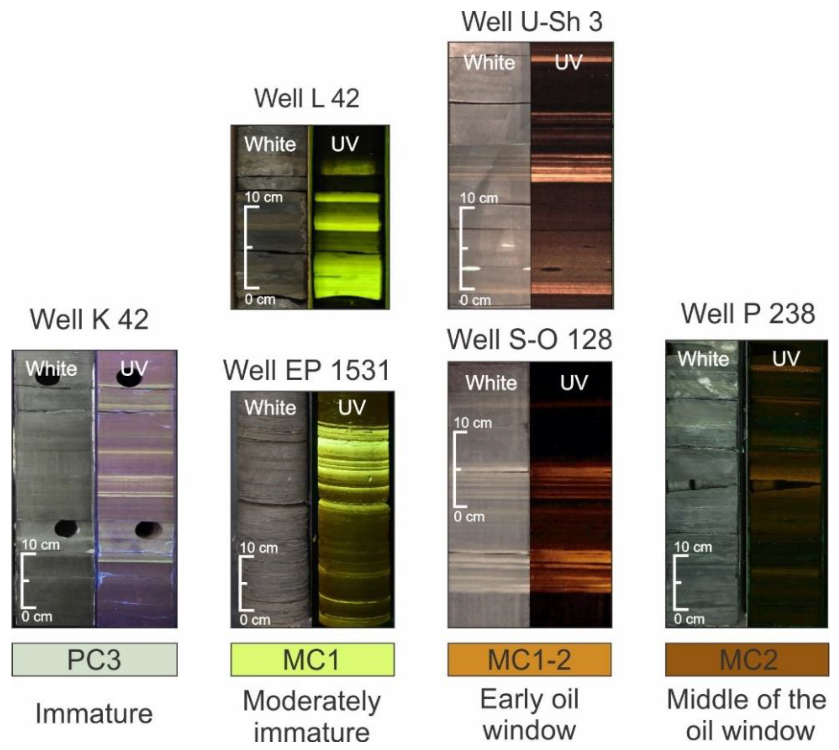 Geosciences 11 00252 g012