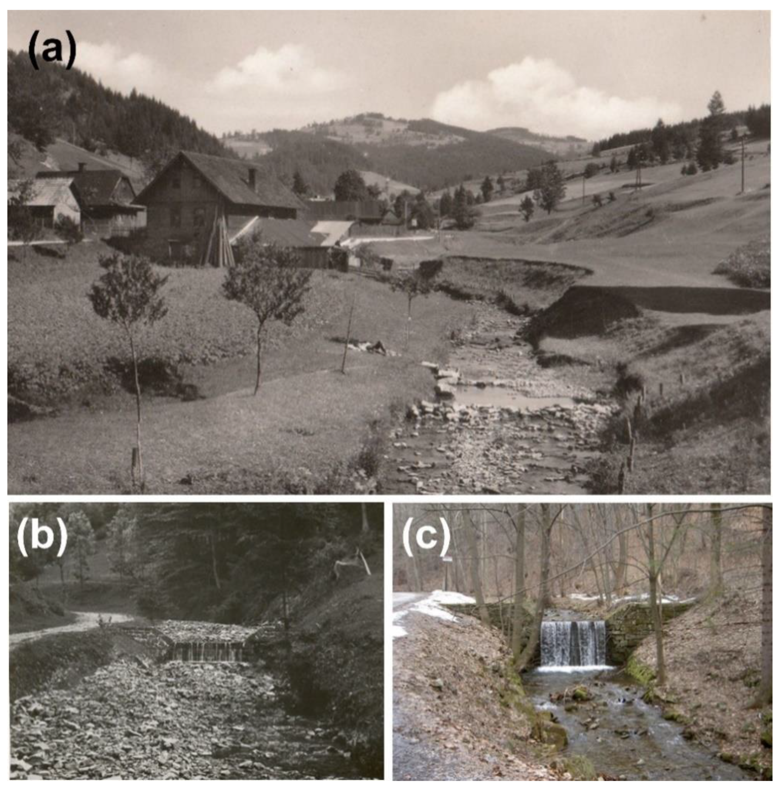 Geosciences 11 00253 g002