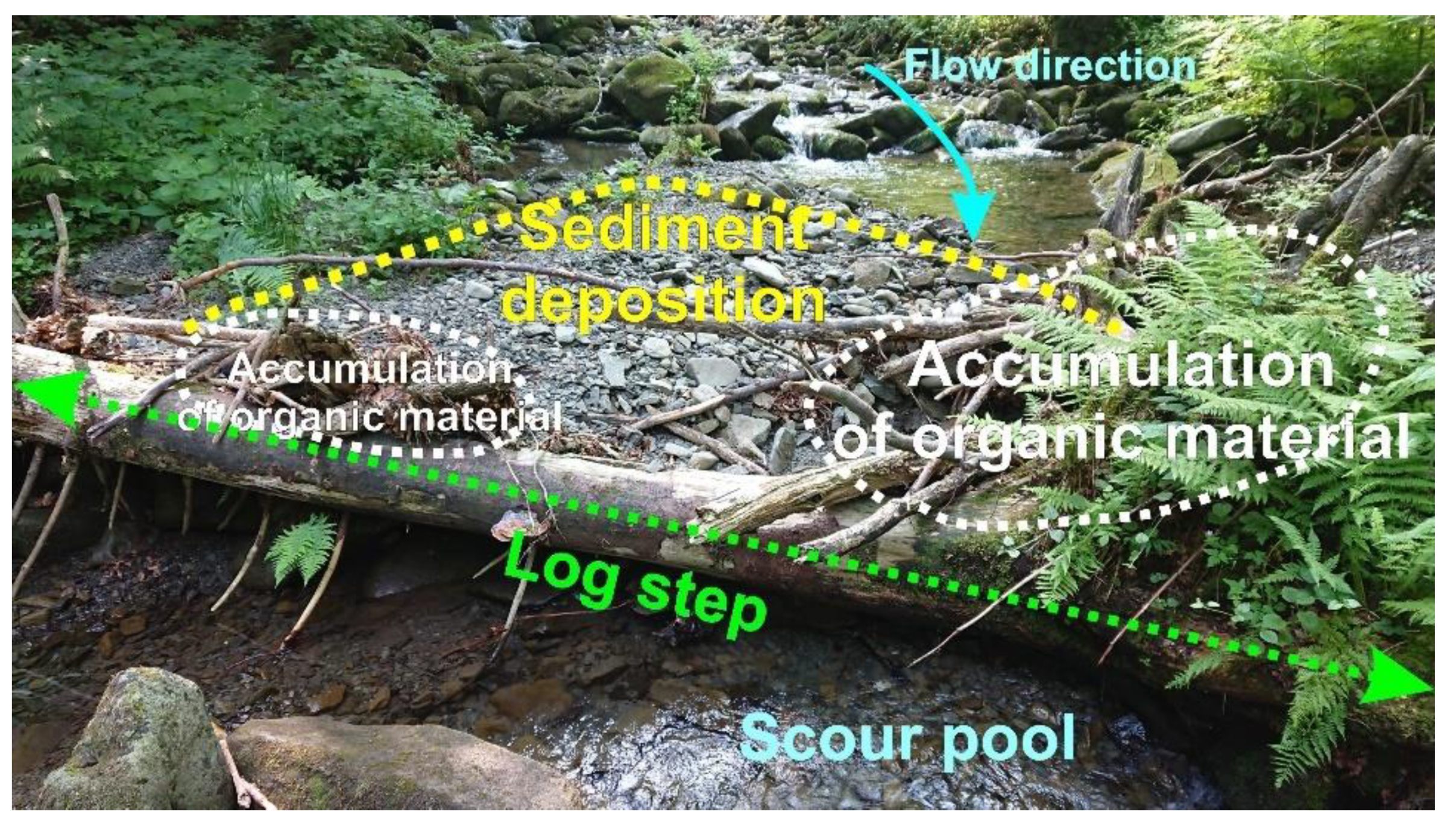 Geosciences 11 00253 g003