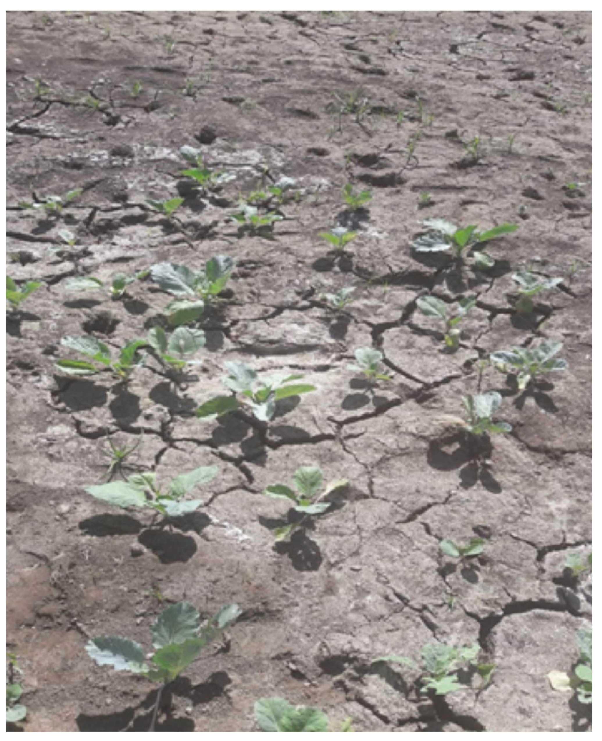 Geosciences 11 00263 g015