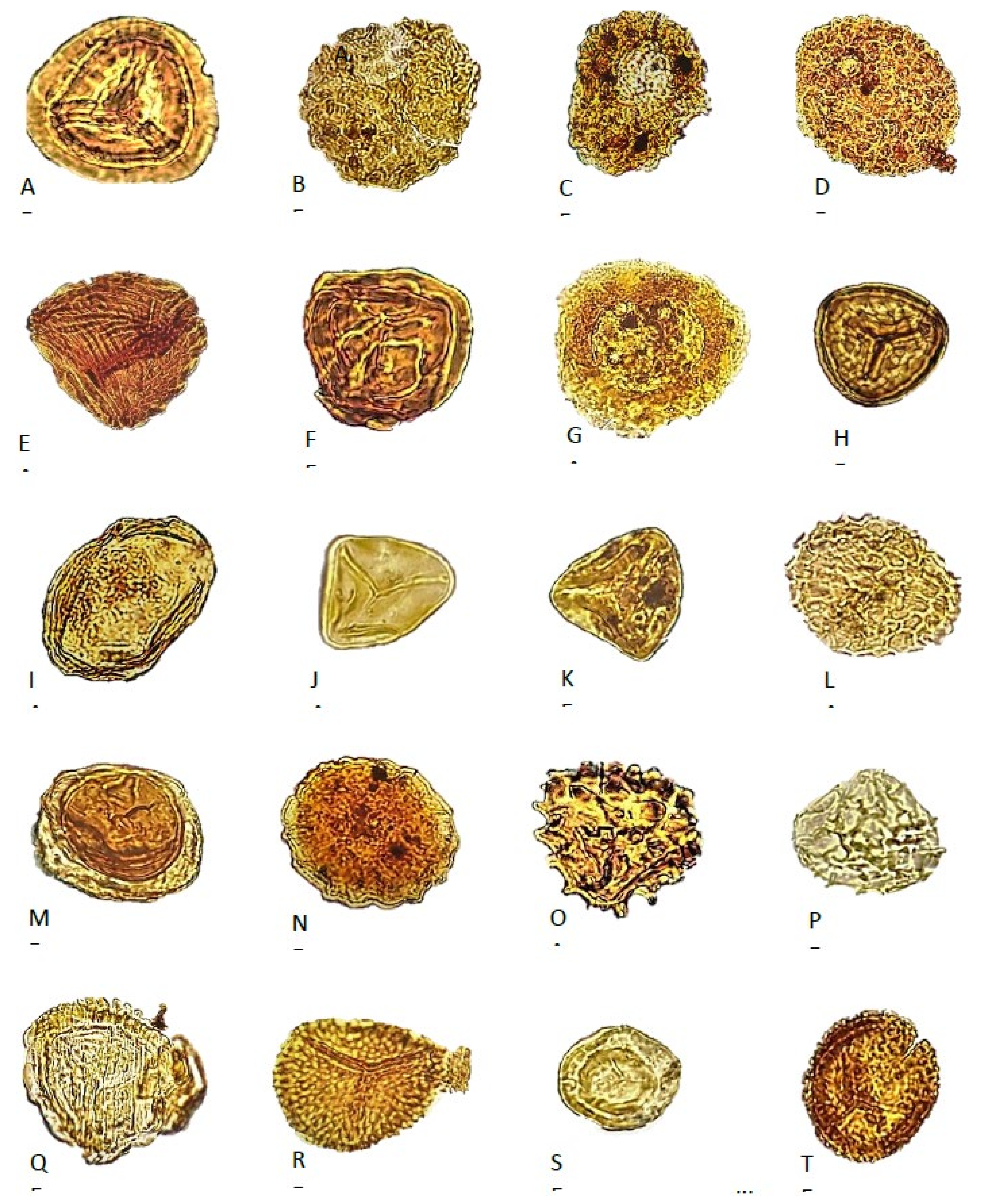 Geosciences 11 00354 g007 Geosciences 11 00354 g007