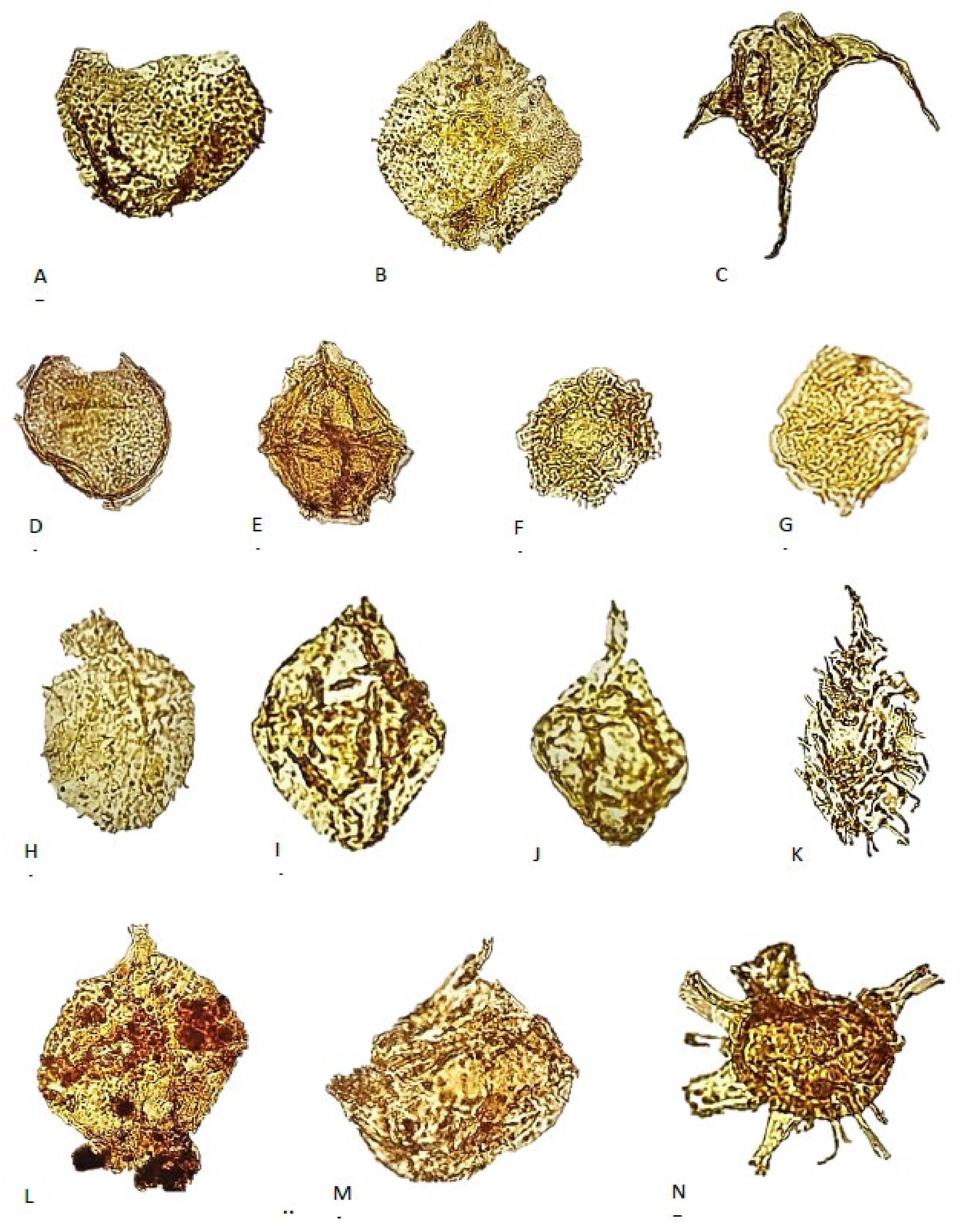 Geosciences 11 00354 g009 Geosciences 11 00354 g009