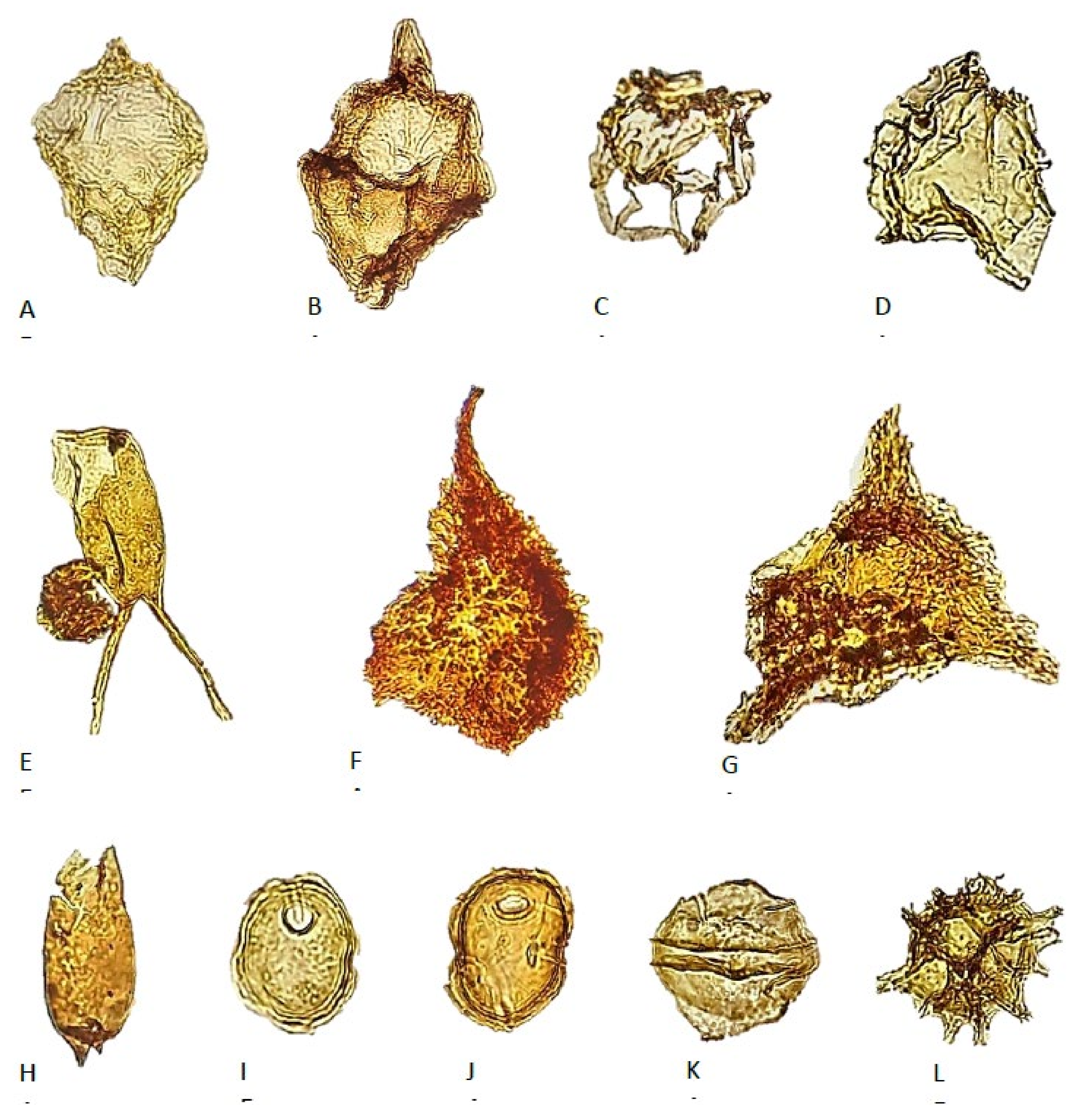 Geosciences 11 00354 g010 Geosciences 11 00354 g010