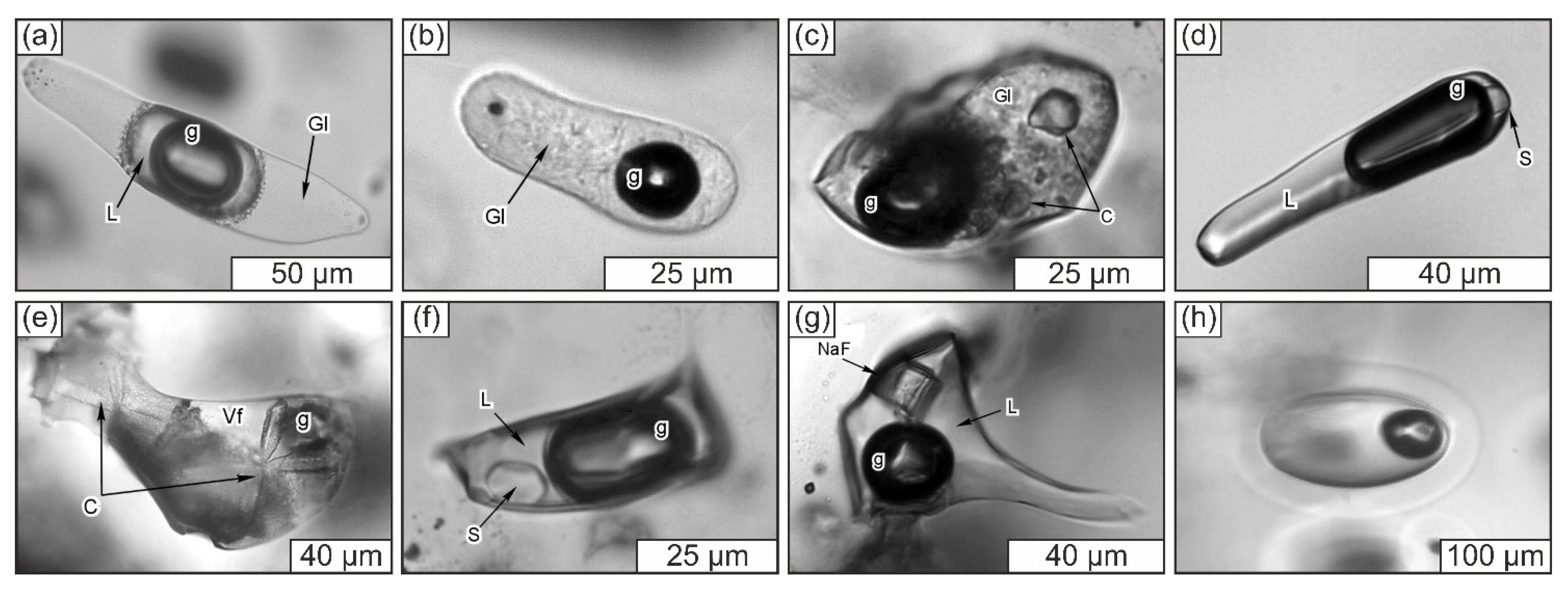 Geosciences 12 00028 g002