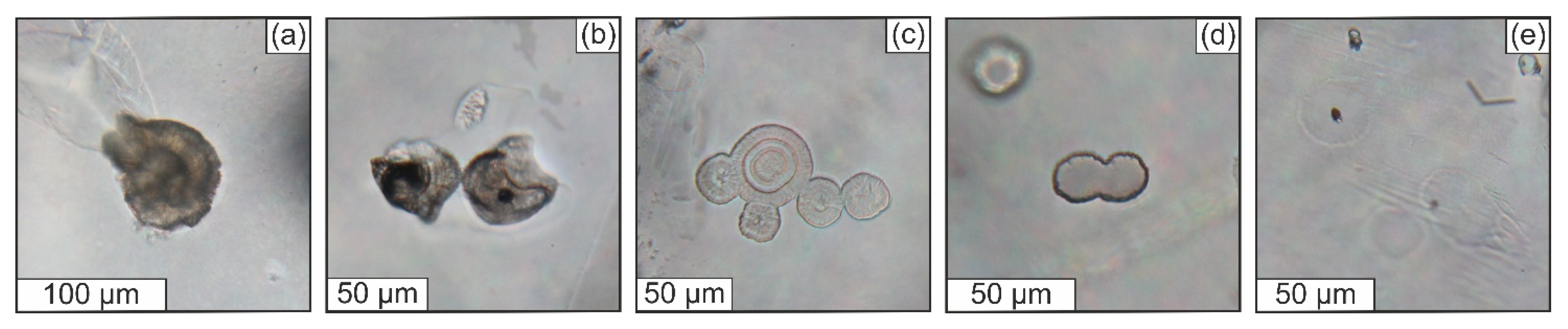 Geosciences 12 00028 g006
