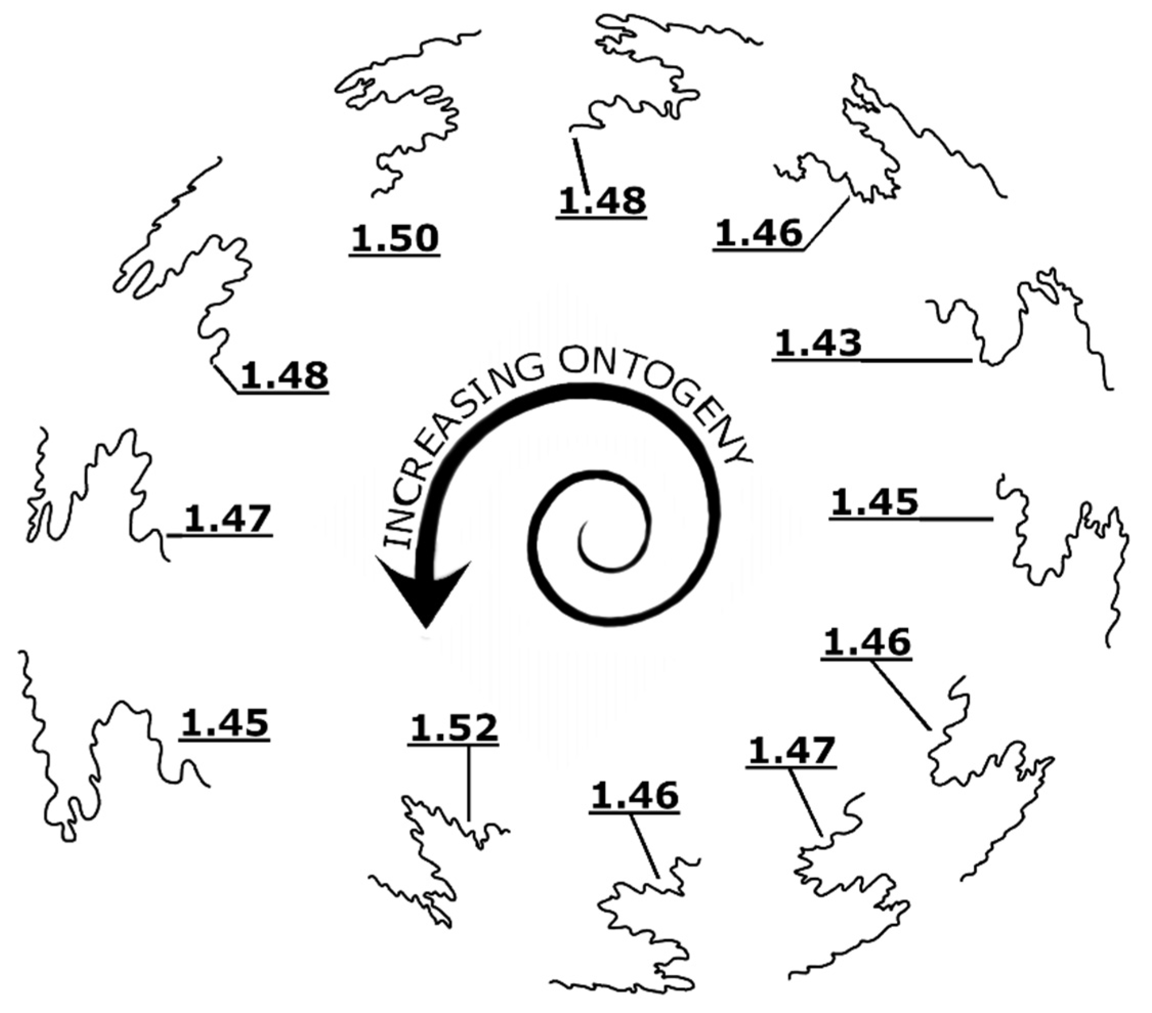 Geosciences 12 00066 g008